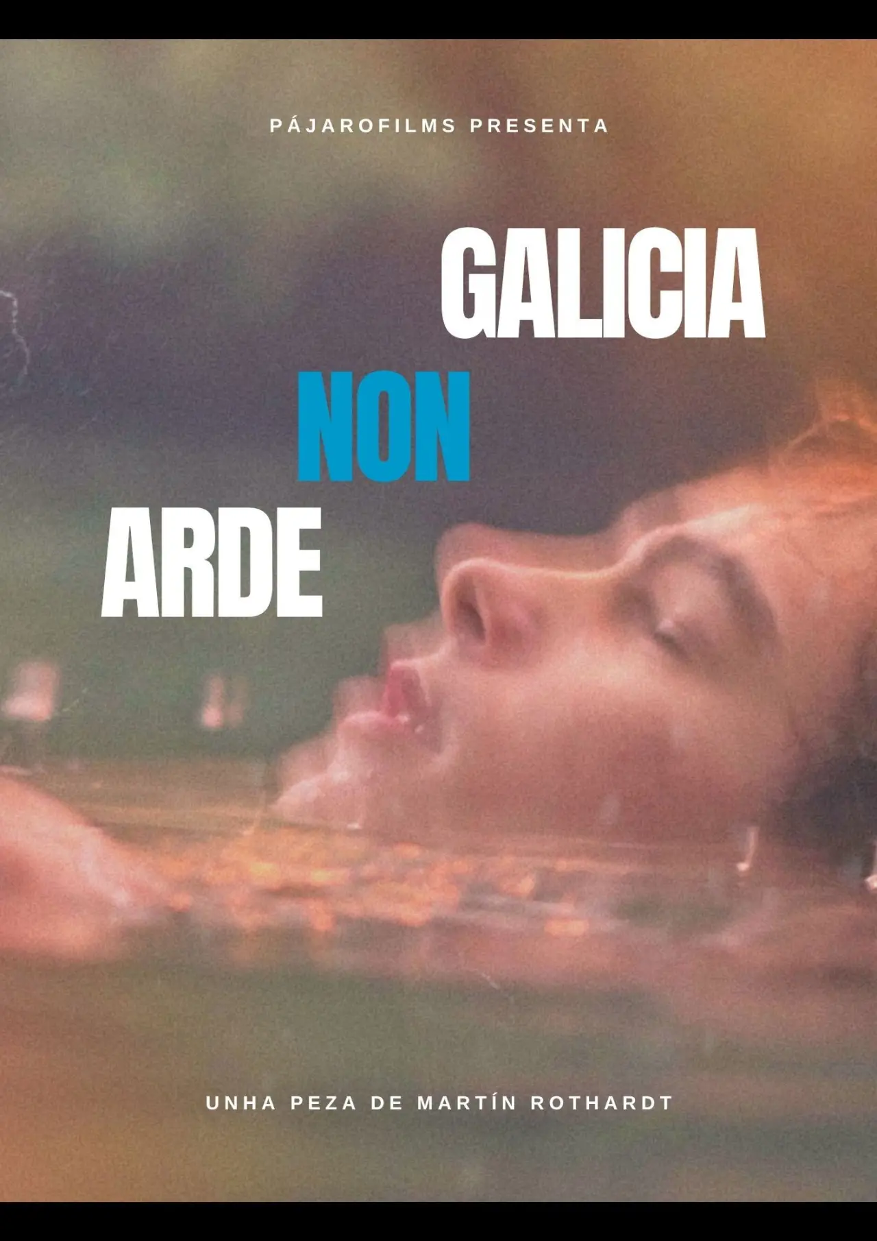 Постер к фильму "GALICIA NON ARDE"
