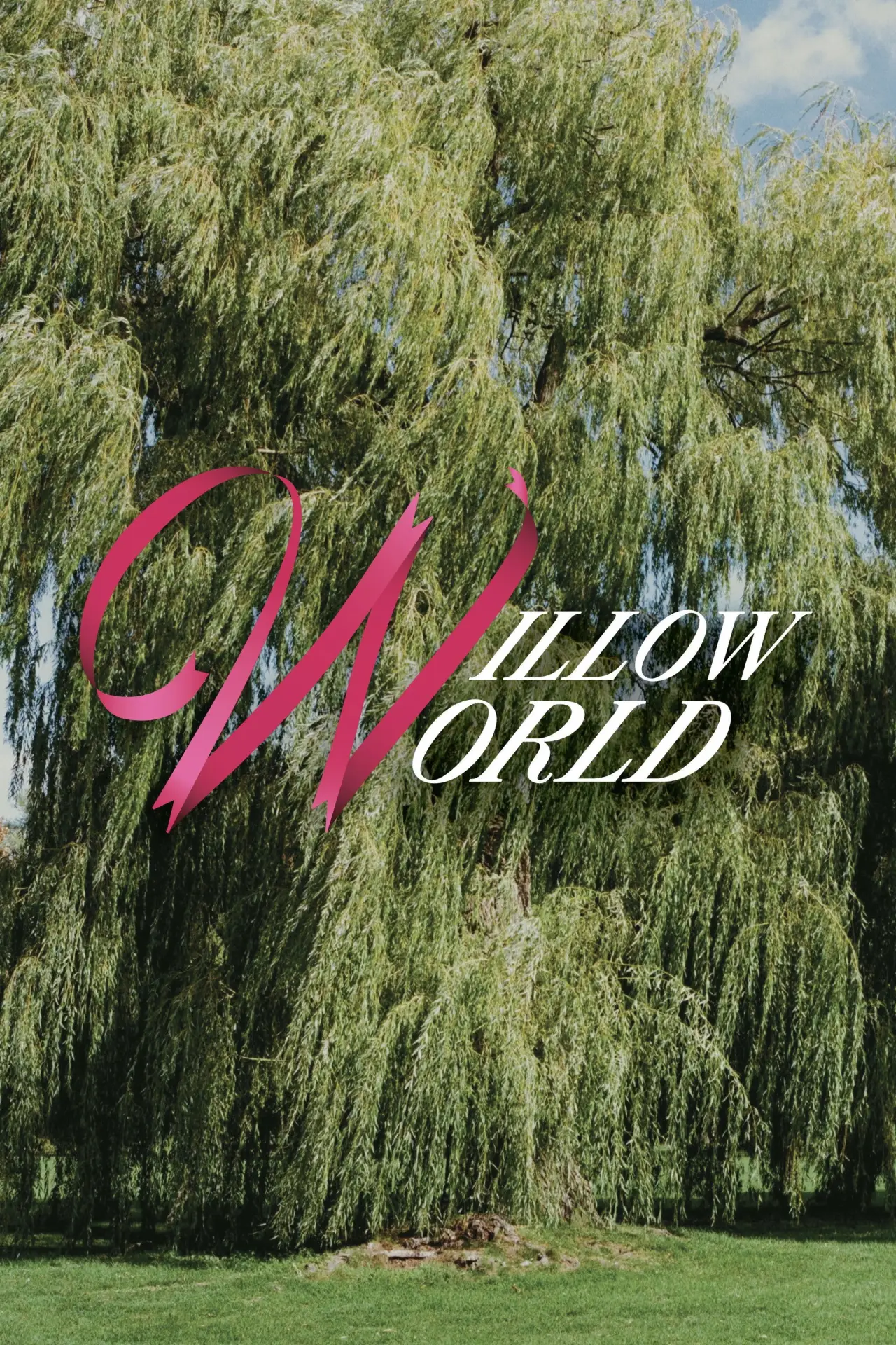 Постер к фильму "Willow World"