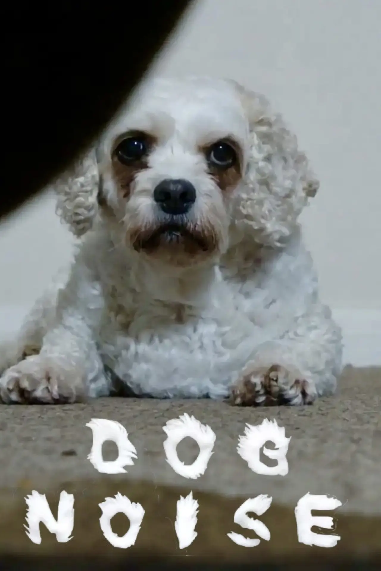 Постер к фильму "Dog Noise"