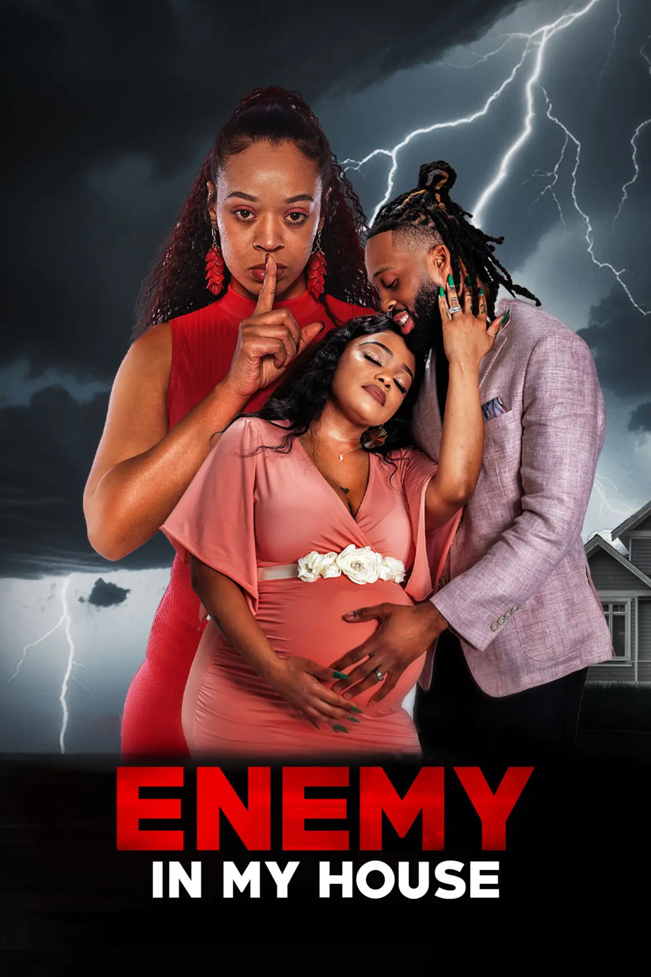 Постер к фильму "Enemy in My House"