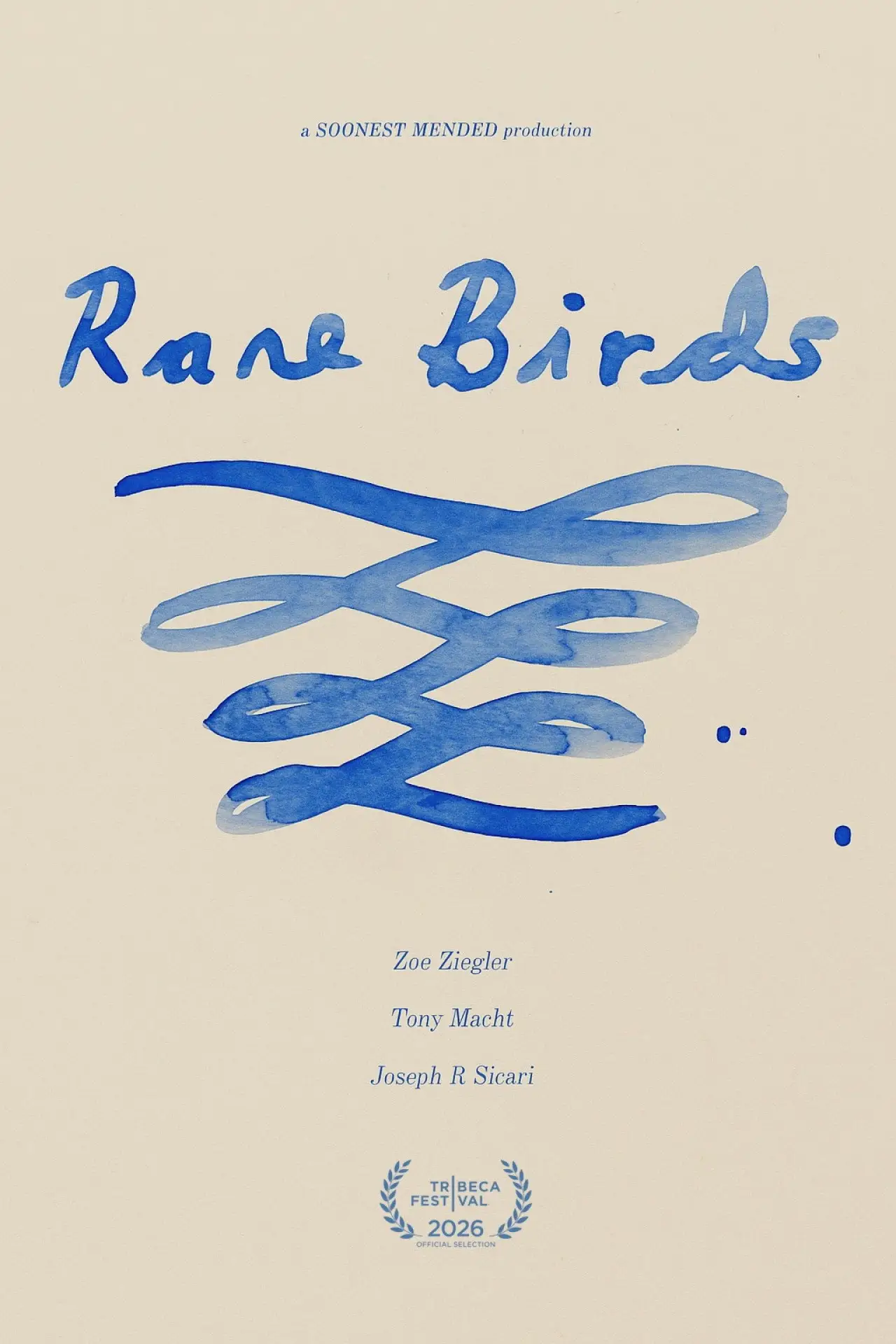 Постер к фильму "Rare Birds"