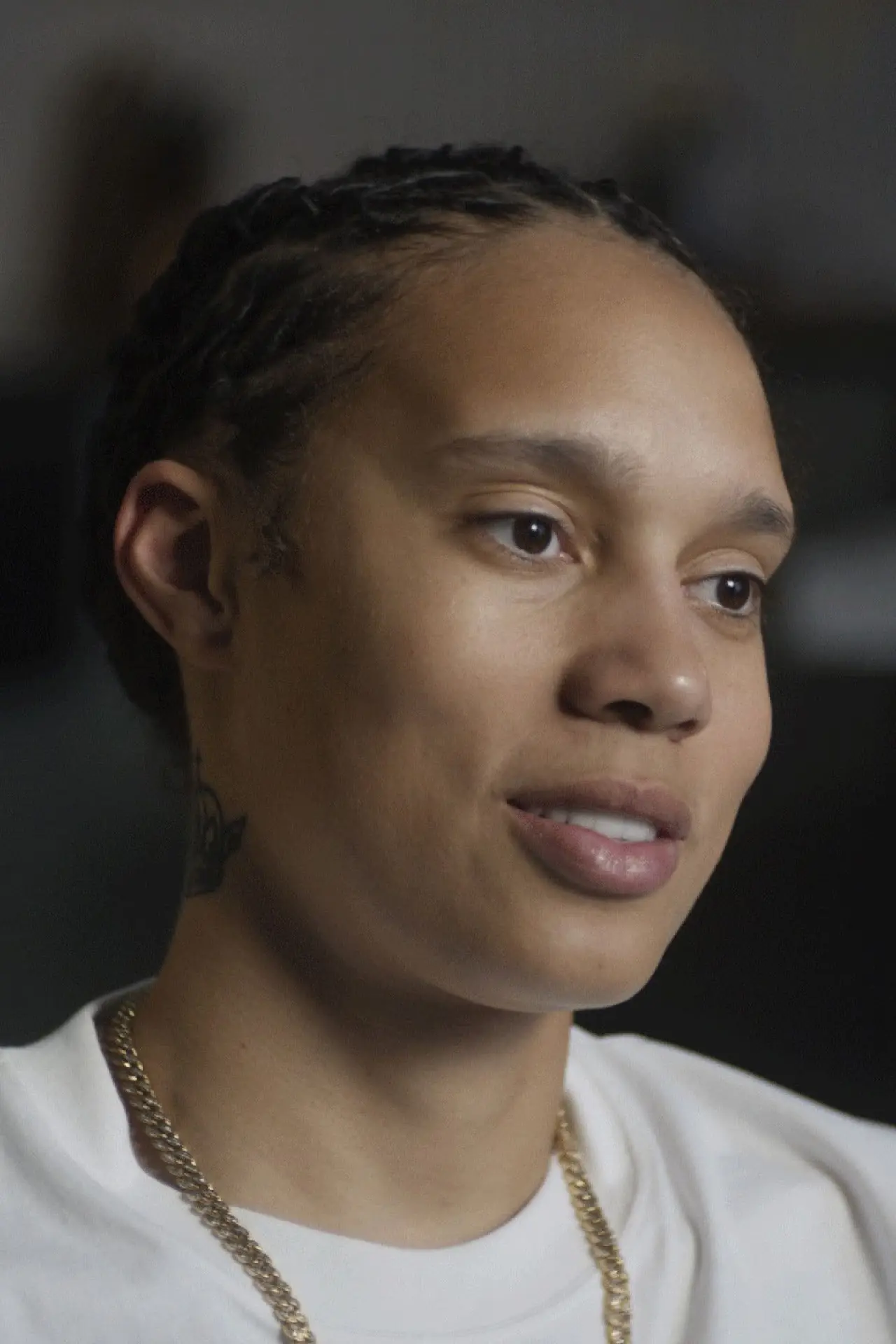Постер к фильму "The Brittney Griner Story"