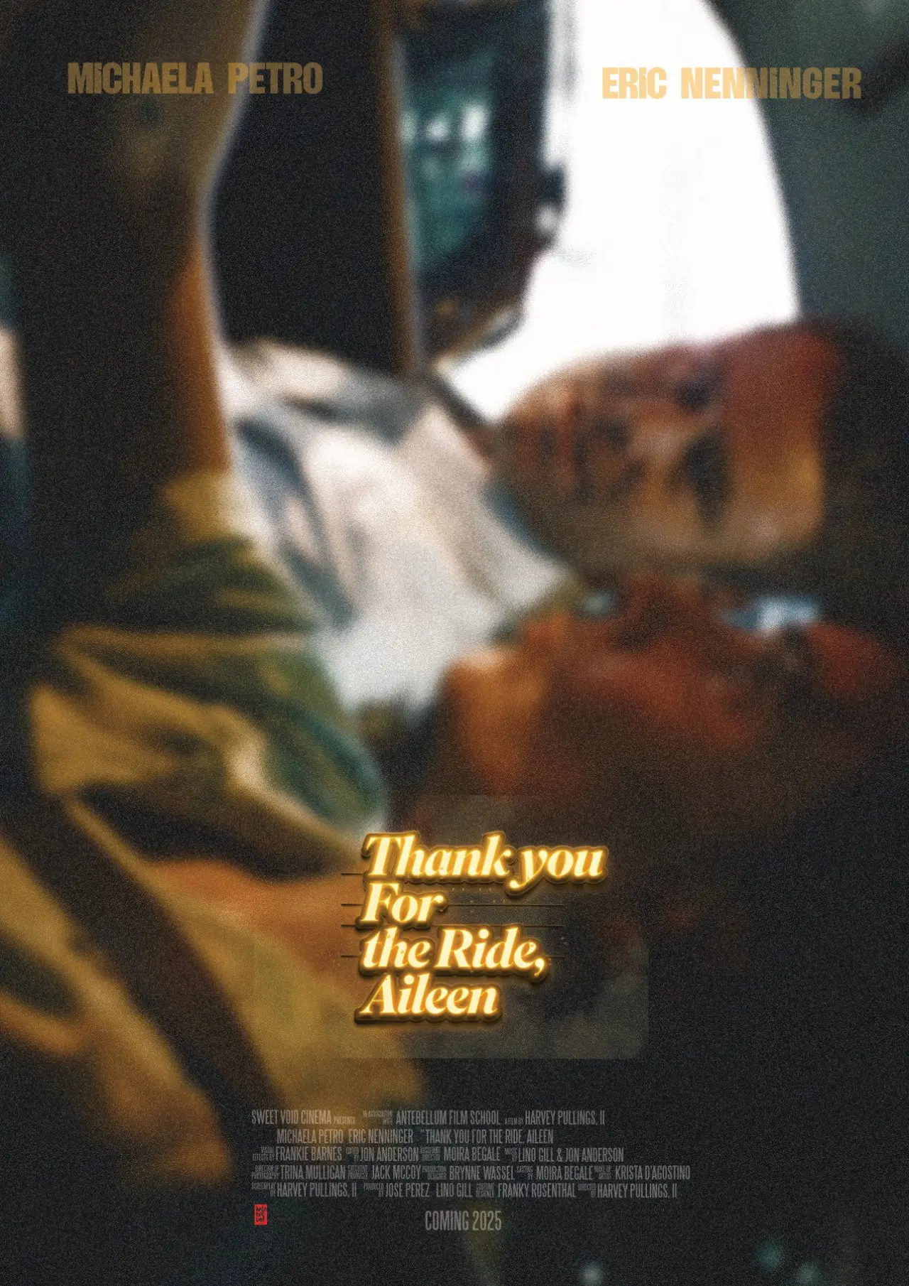 Постер к фильму "Thank You for the Ride, Aileen"