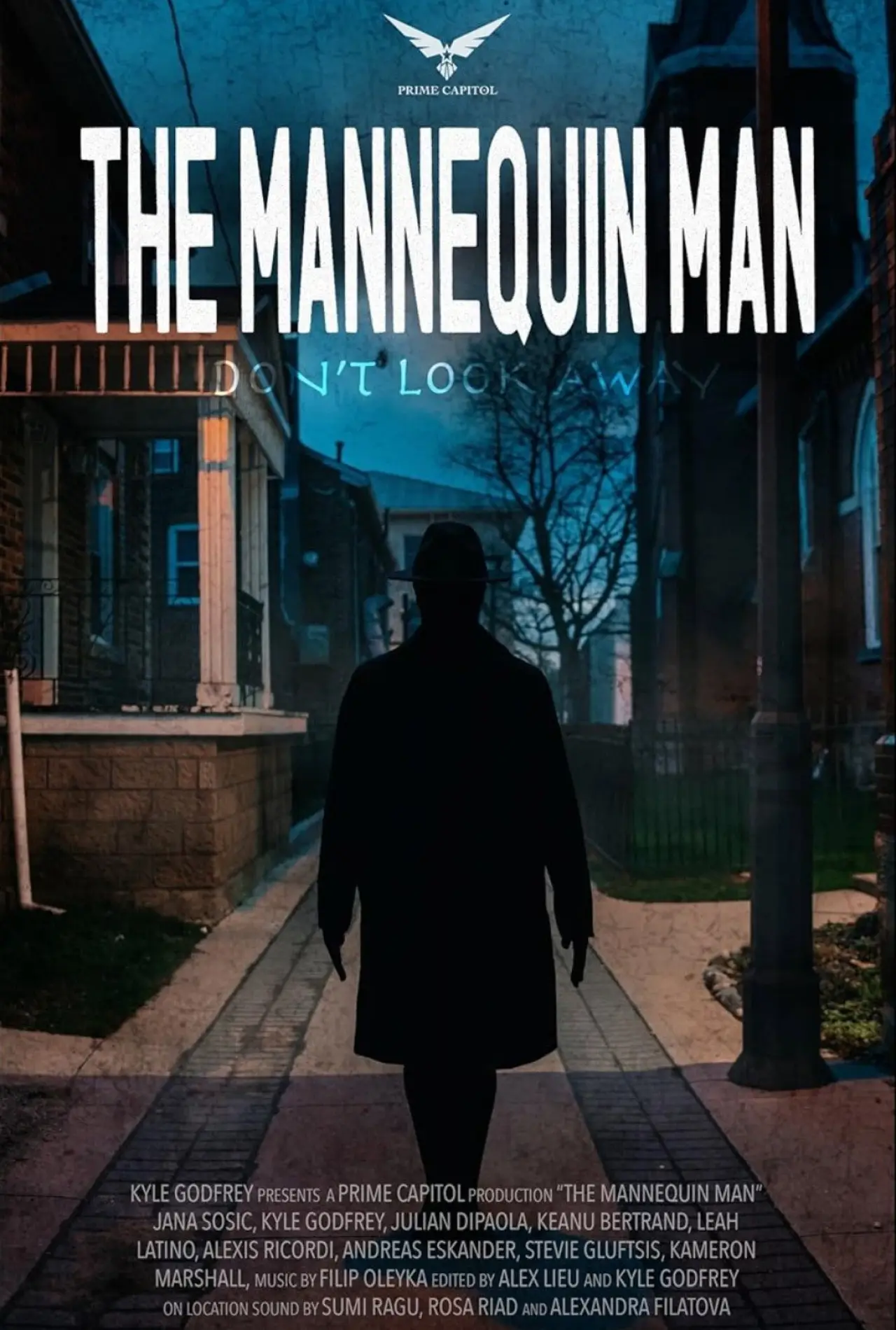 Постер к фильму "The Mannequin Man"