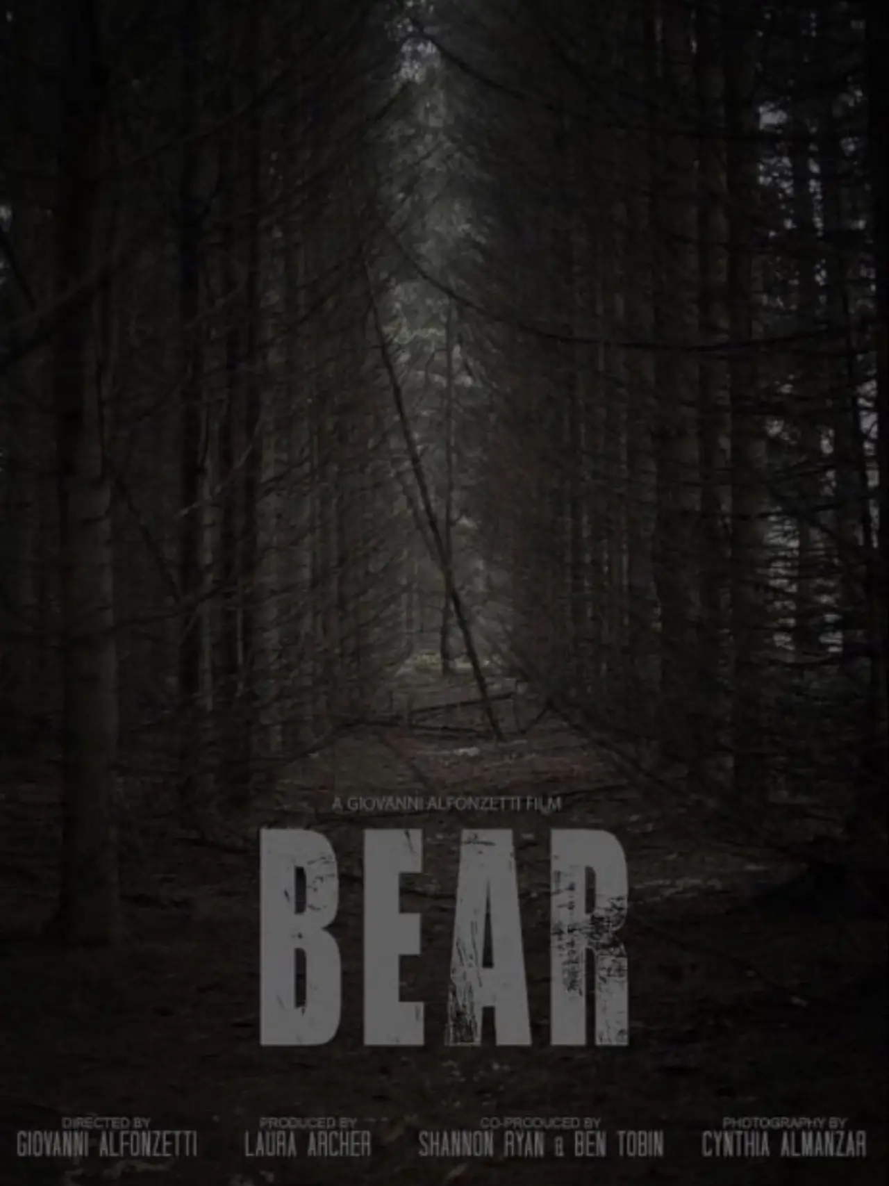 Постер к фильму "Bear"