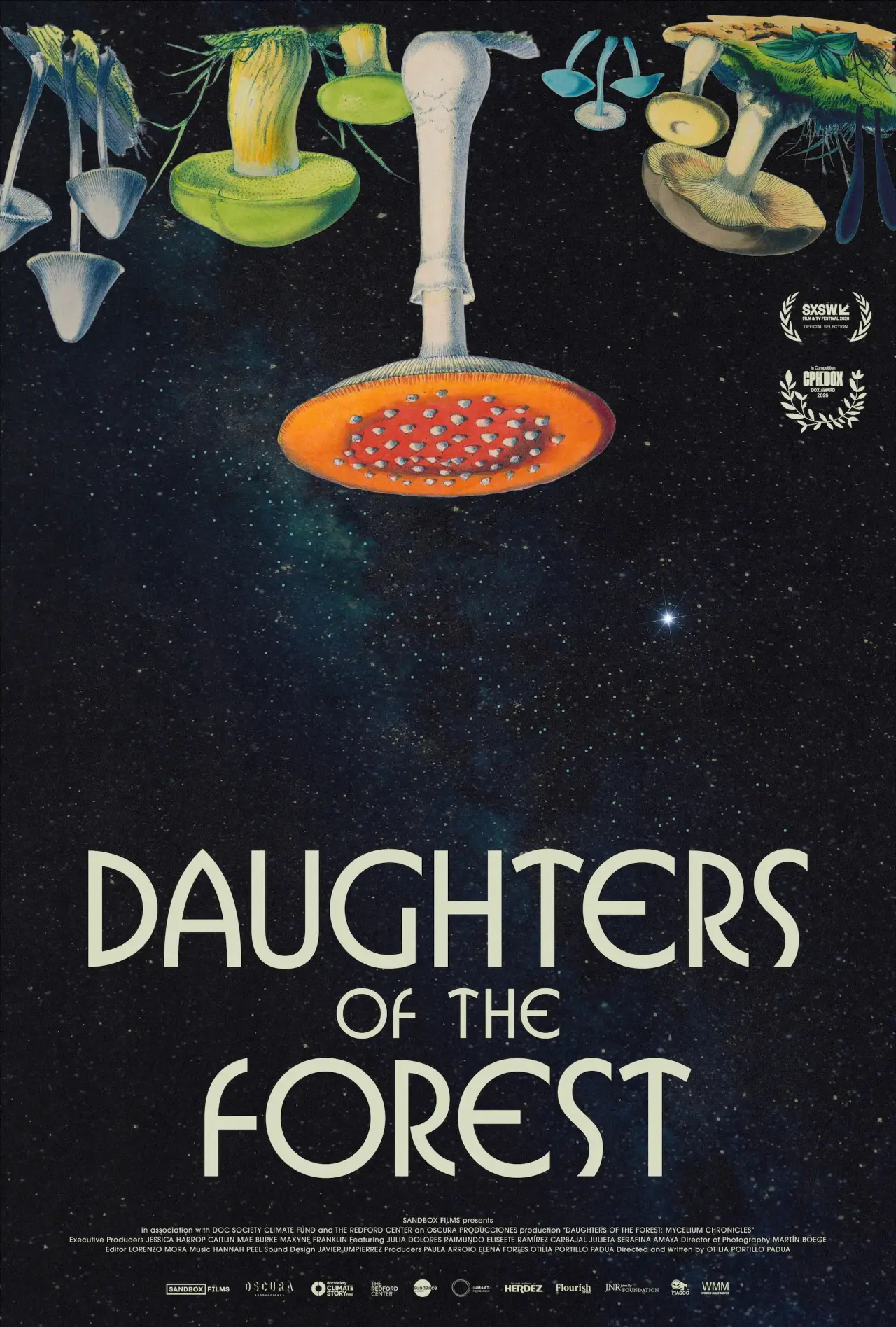 Постер к фильму "Daughters of the Forest"