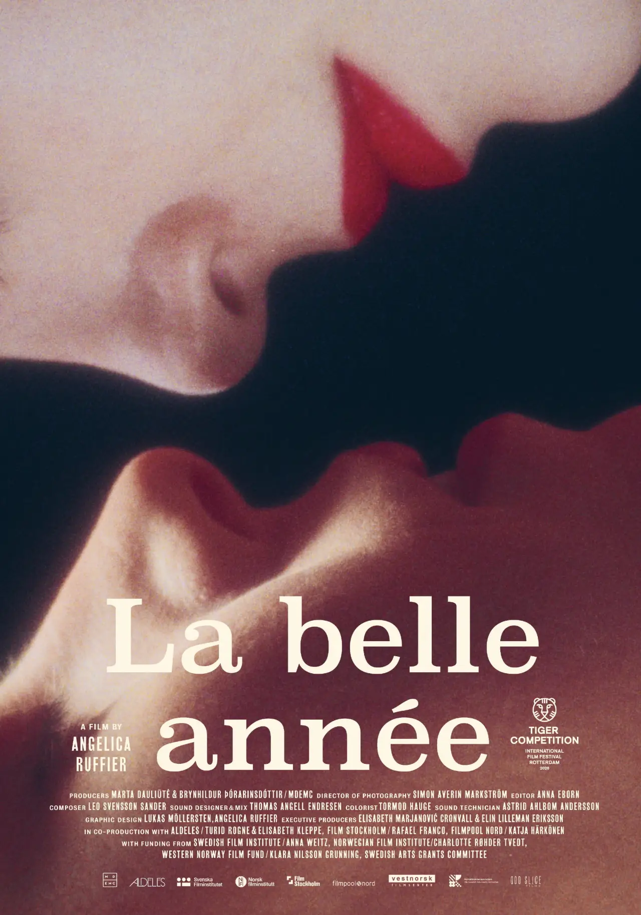 Постер к фильму "La belle année"
