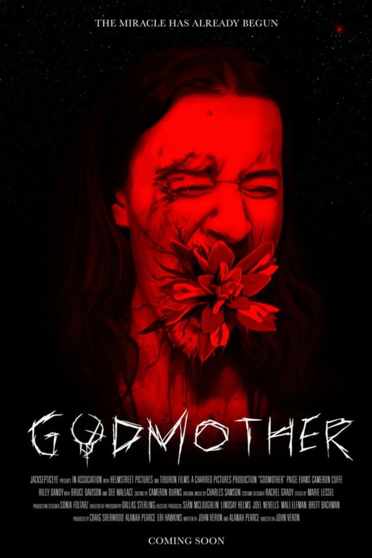 Постер к фильму "Godmother"