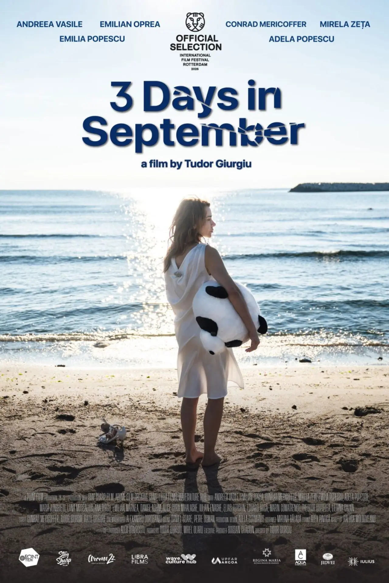 Постер к фильму "3 zile în septembrie"