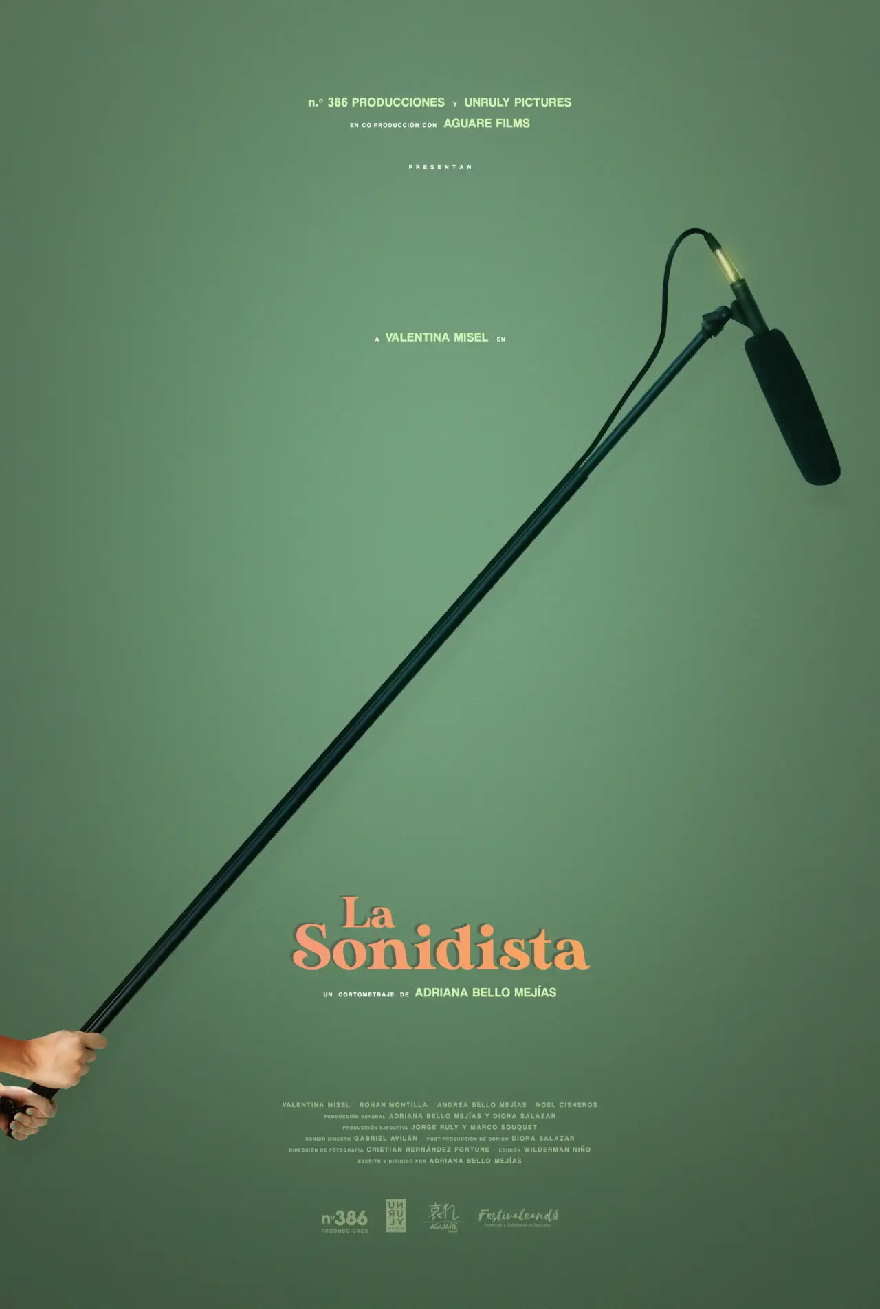 Постер к фильму "La Sonidista"
