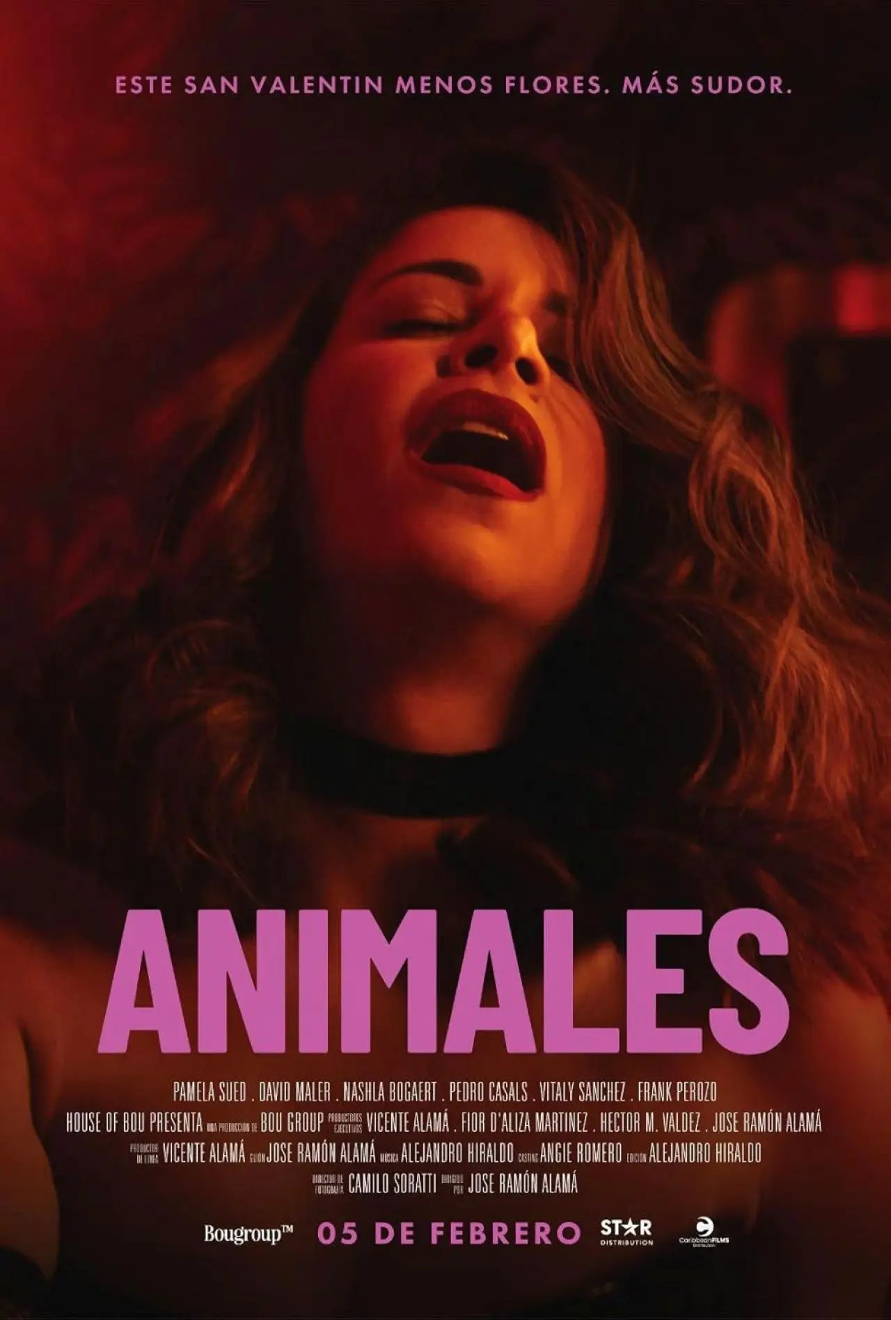 Постер к фильму "Animales"