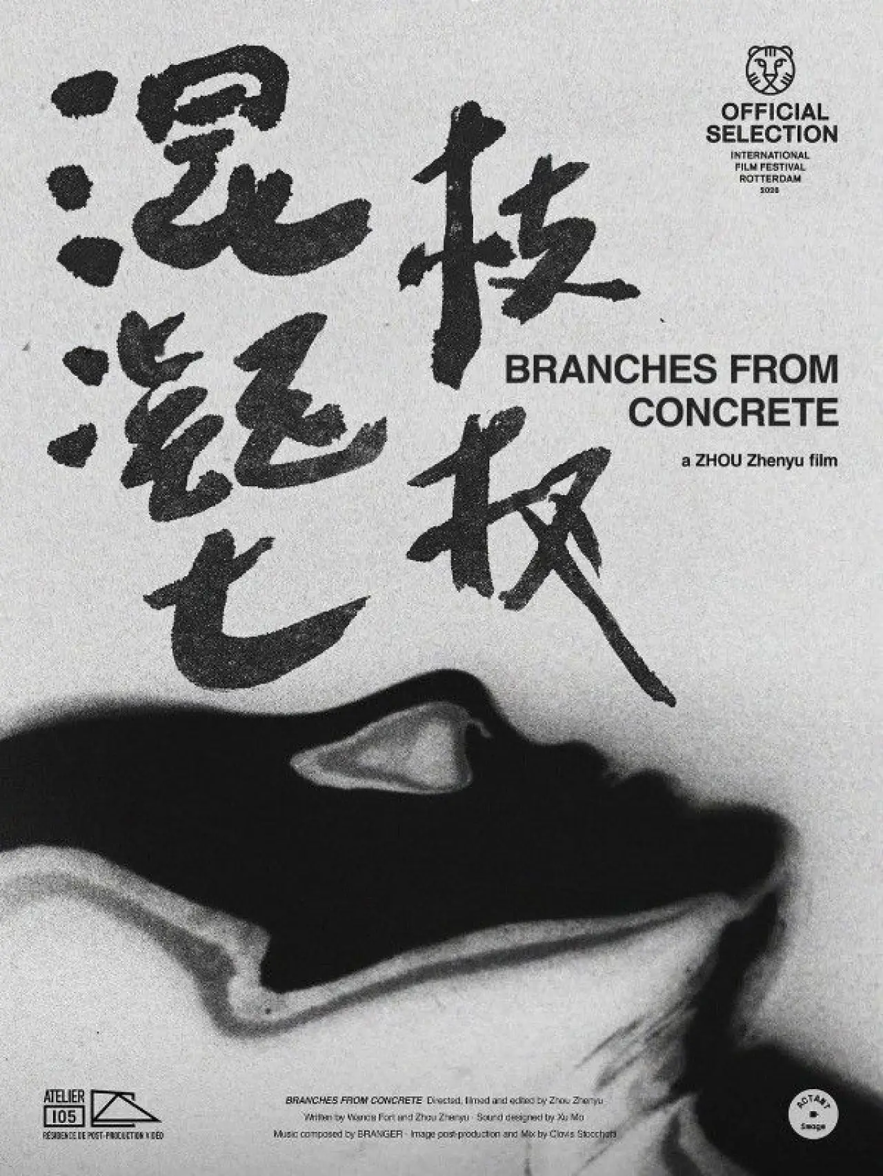 Постер к фильму "混凝土枝杈"