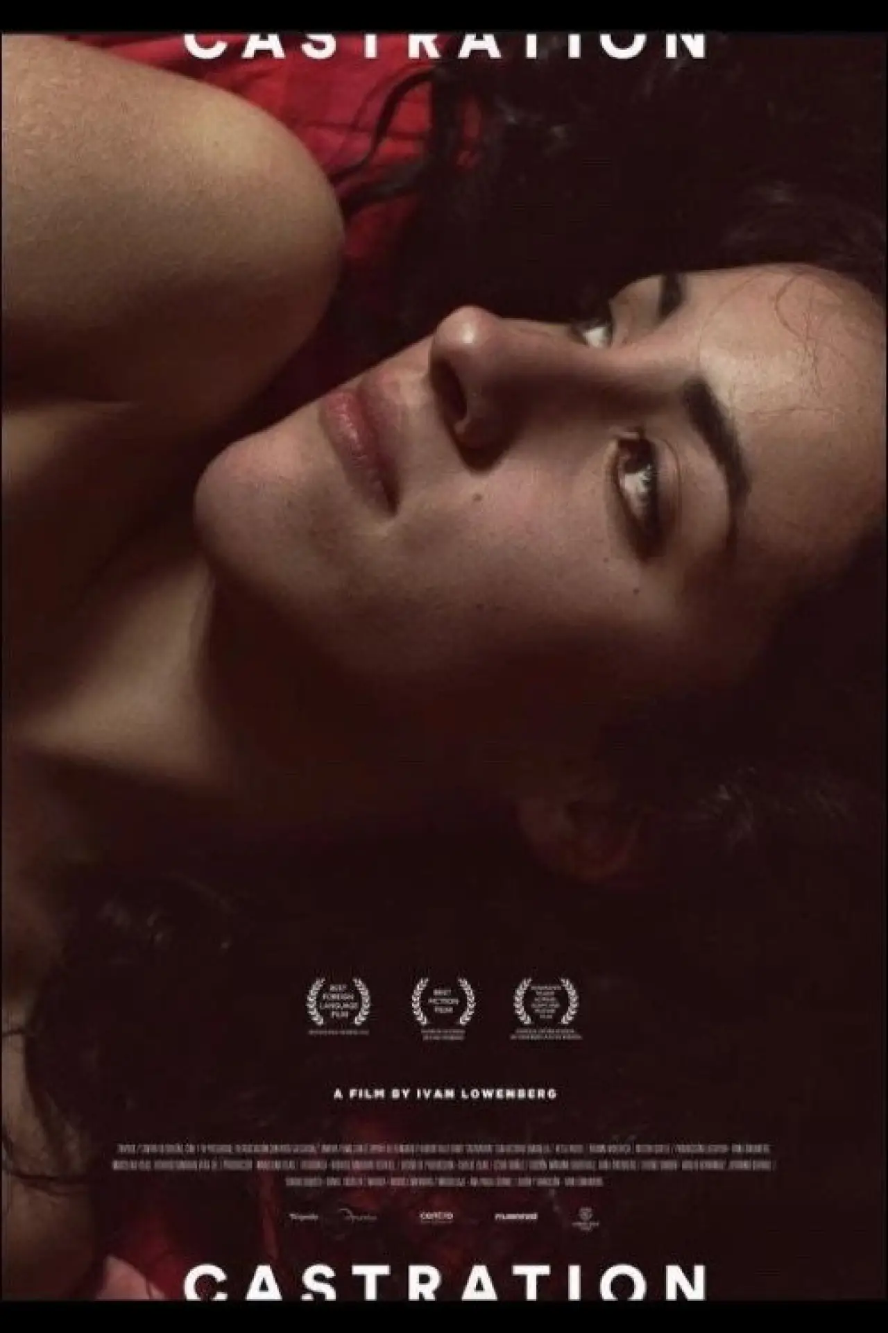 Постер к фильму "La castración"