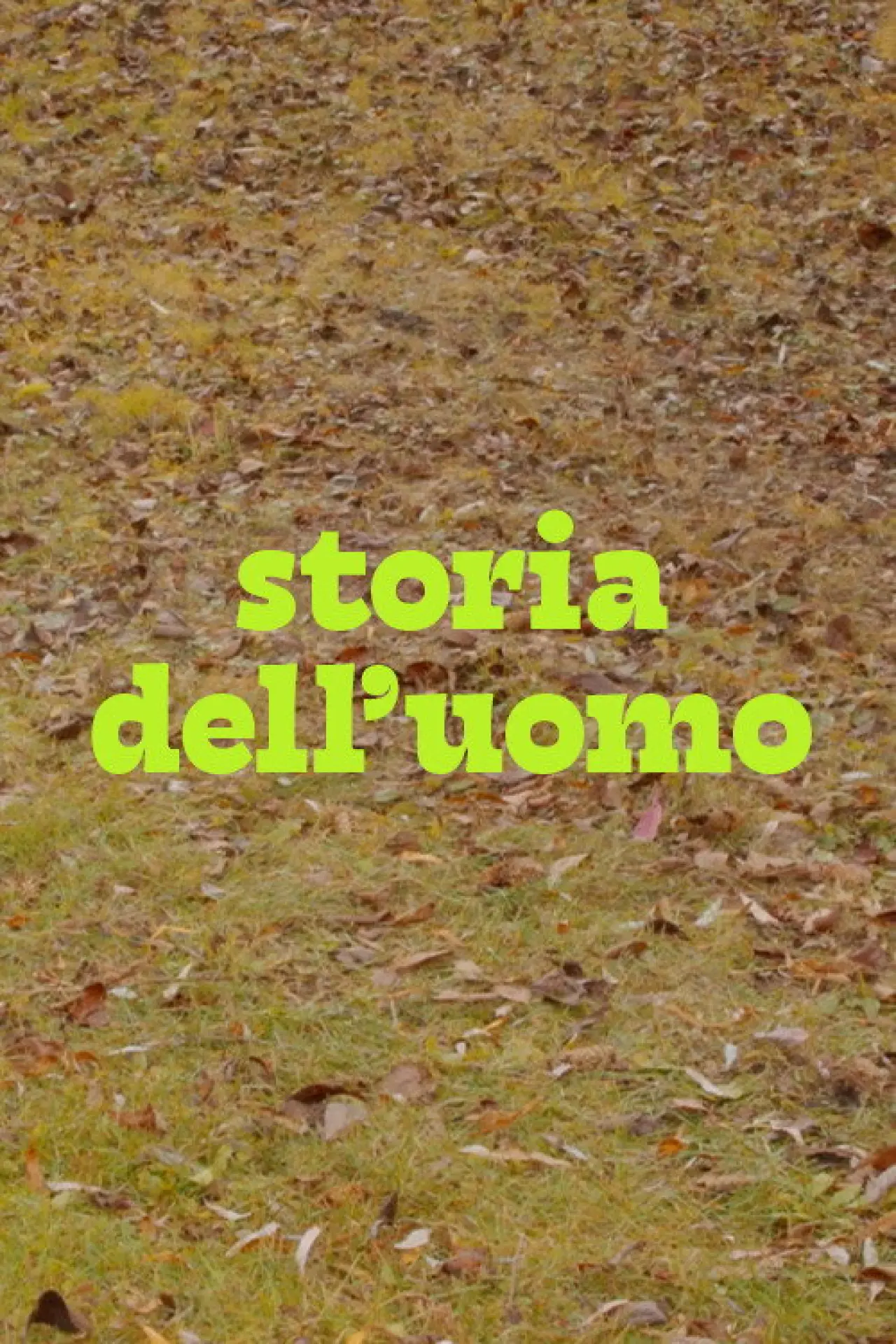 Постер к фильму "Storia dell