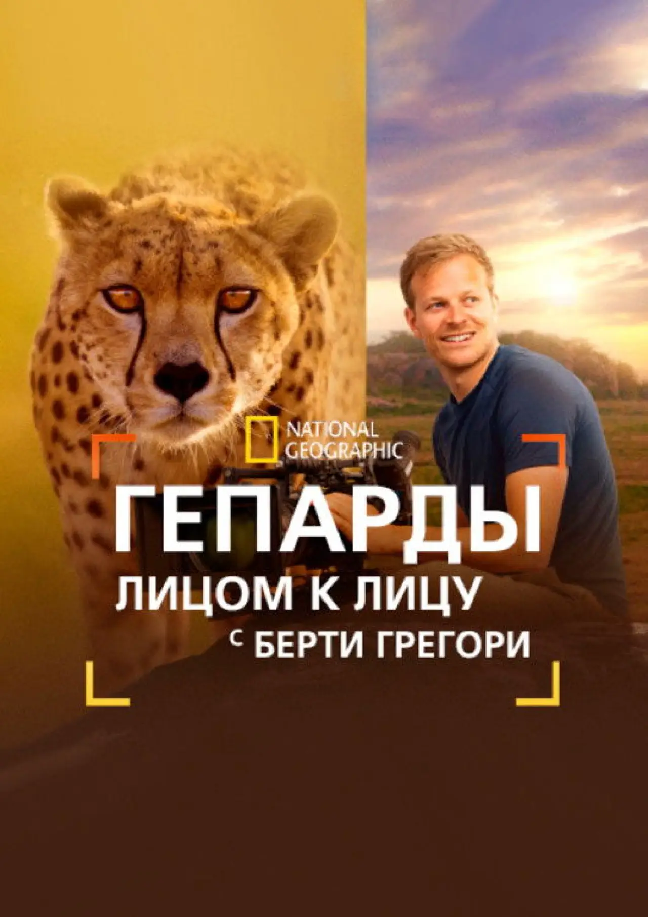 Постер к фильму "Гепарды: лицом к лицу с Берти Грегори"
