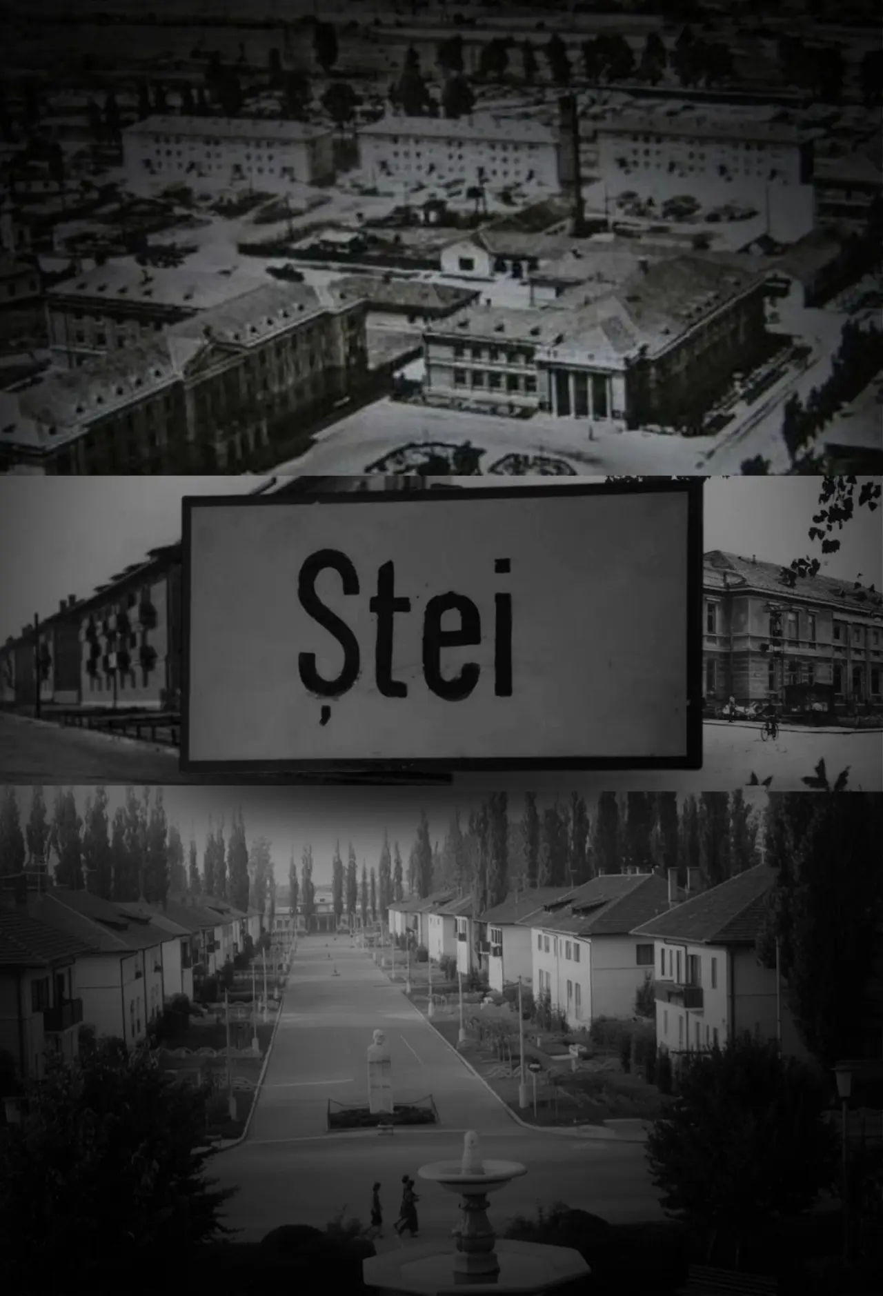 Постер к фильму "Ștei"