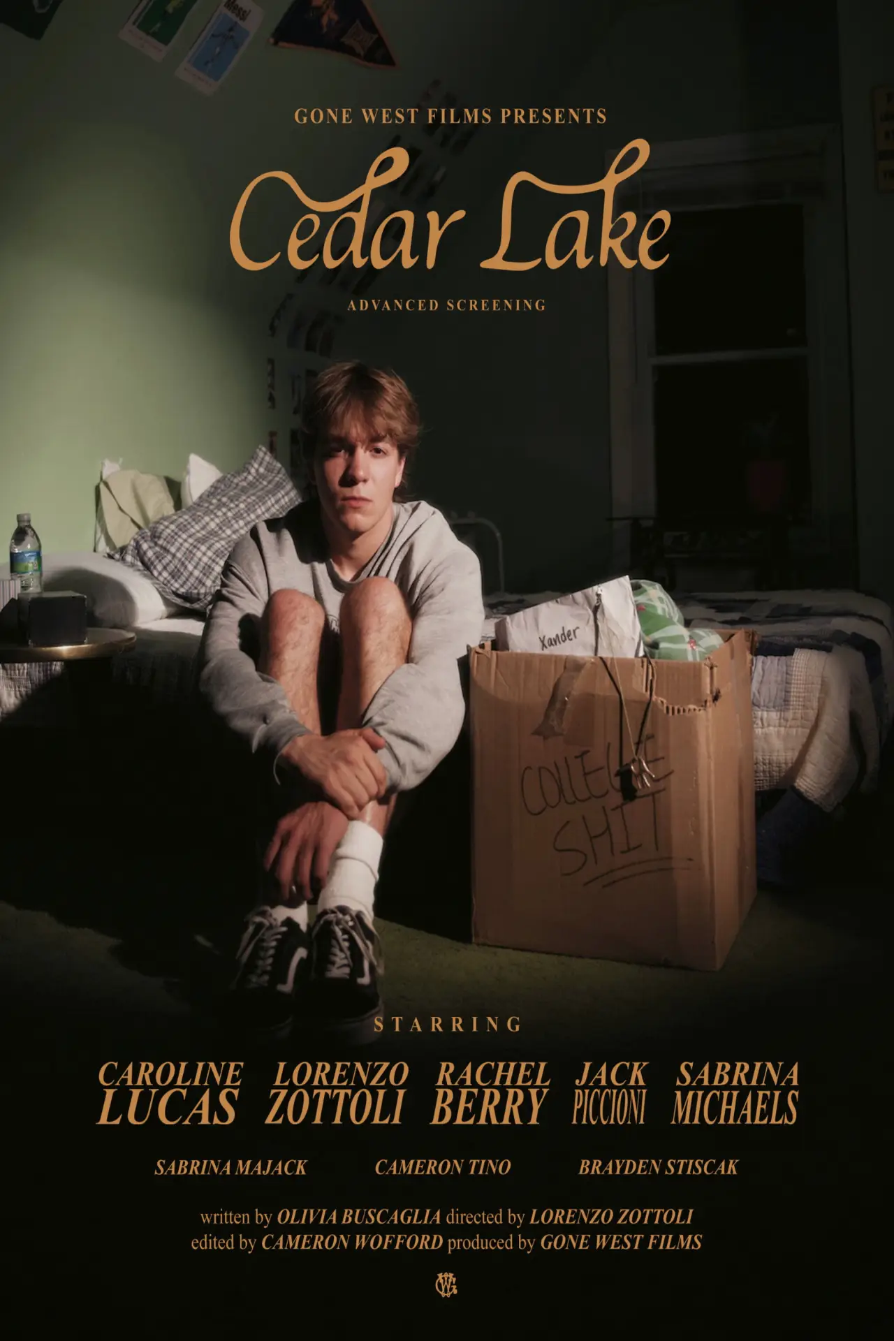 Постер к фильму "Cedar Lake"