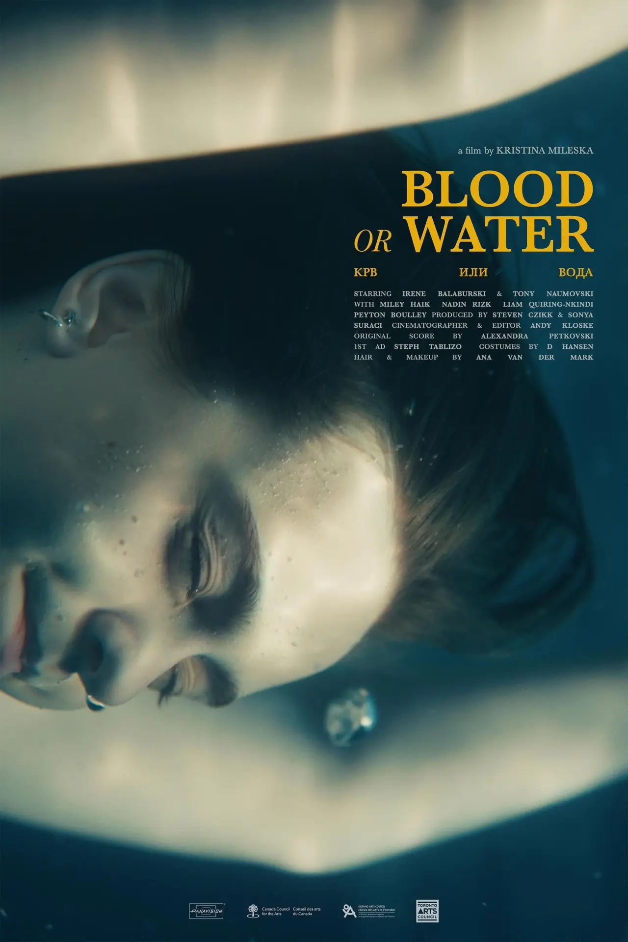 Постер к фильму "Blood or Water"