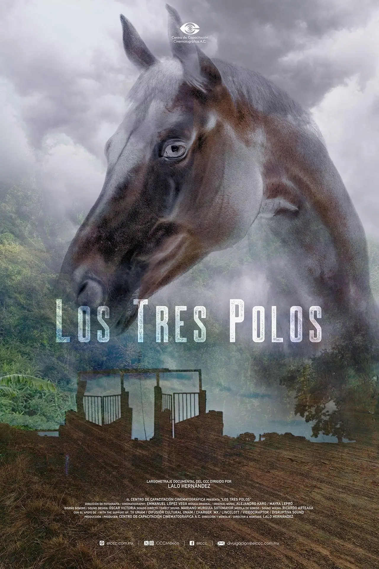 Постер к фильму "Los tres Polos"