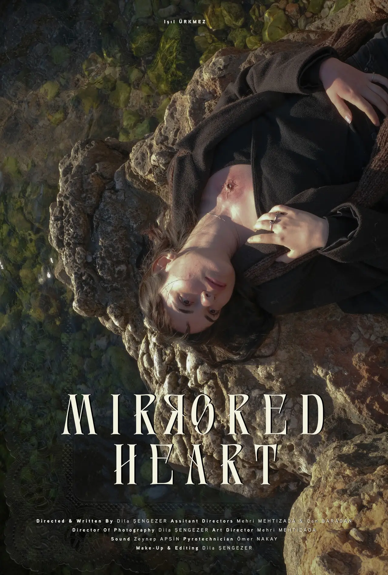 Постер к фильму "Mirrored Heart"
