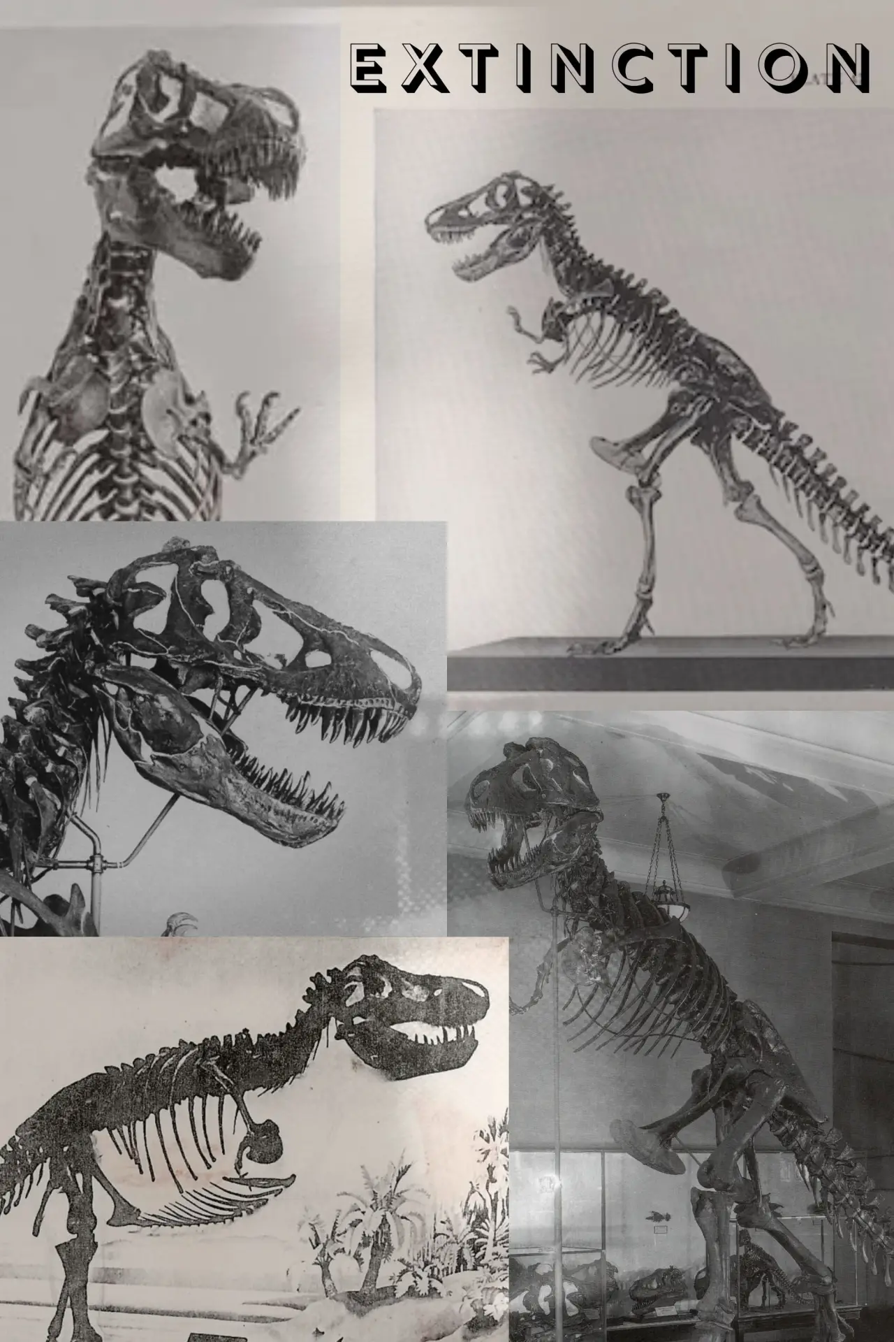 Постер к фильму "Extinction"