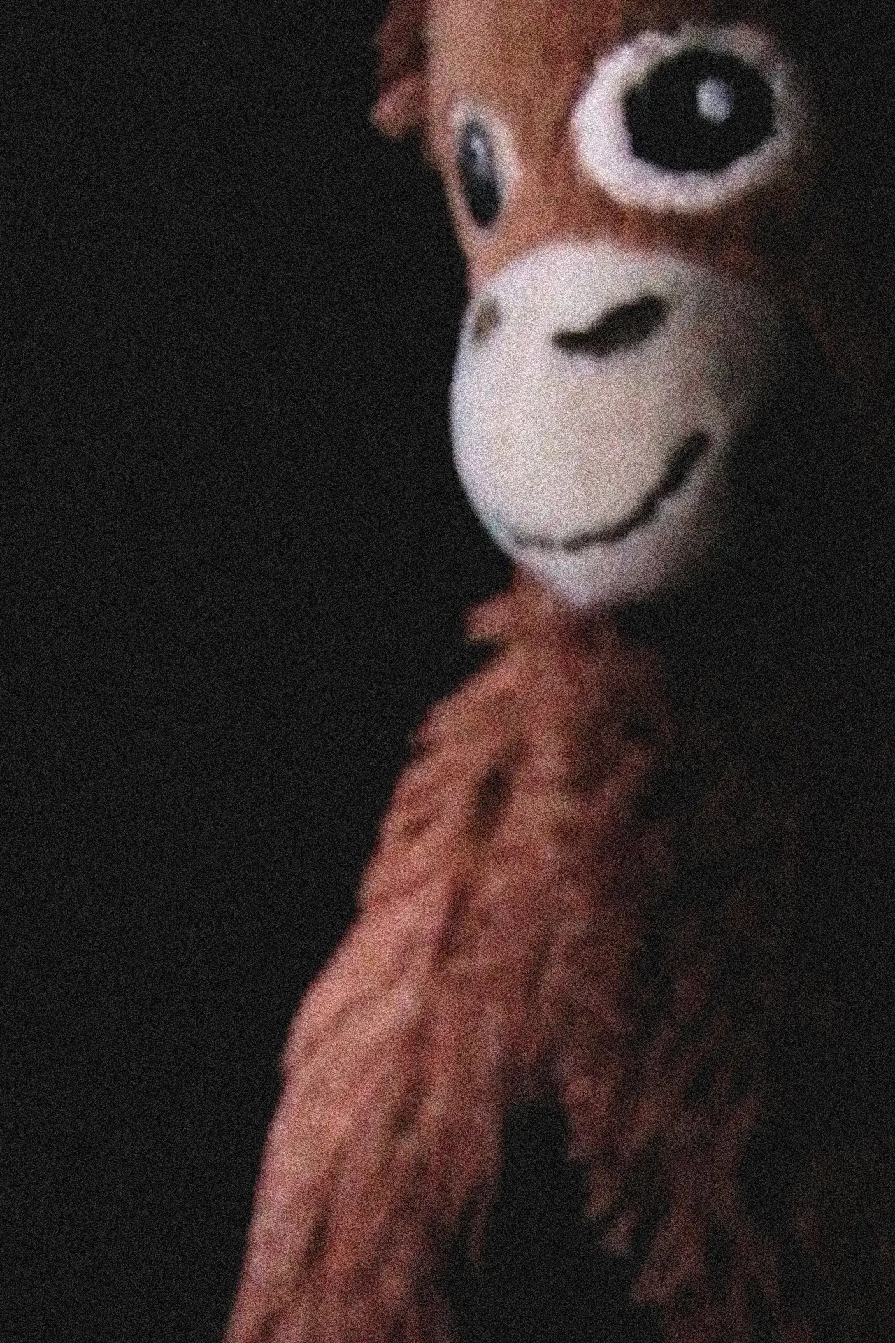 Постер к фильму "The Jay Monkey Project"