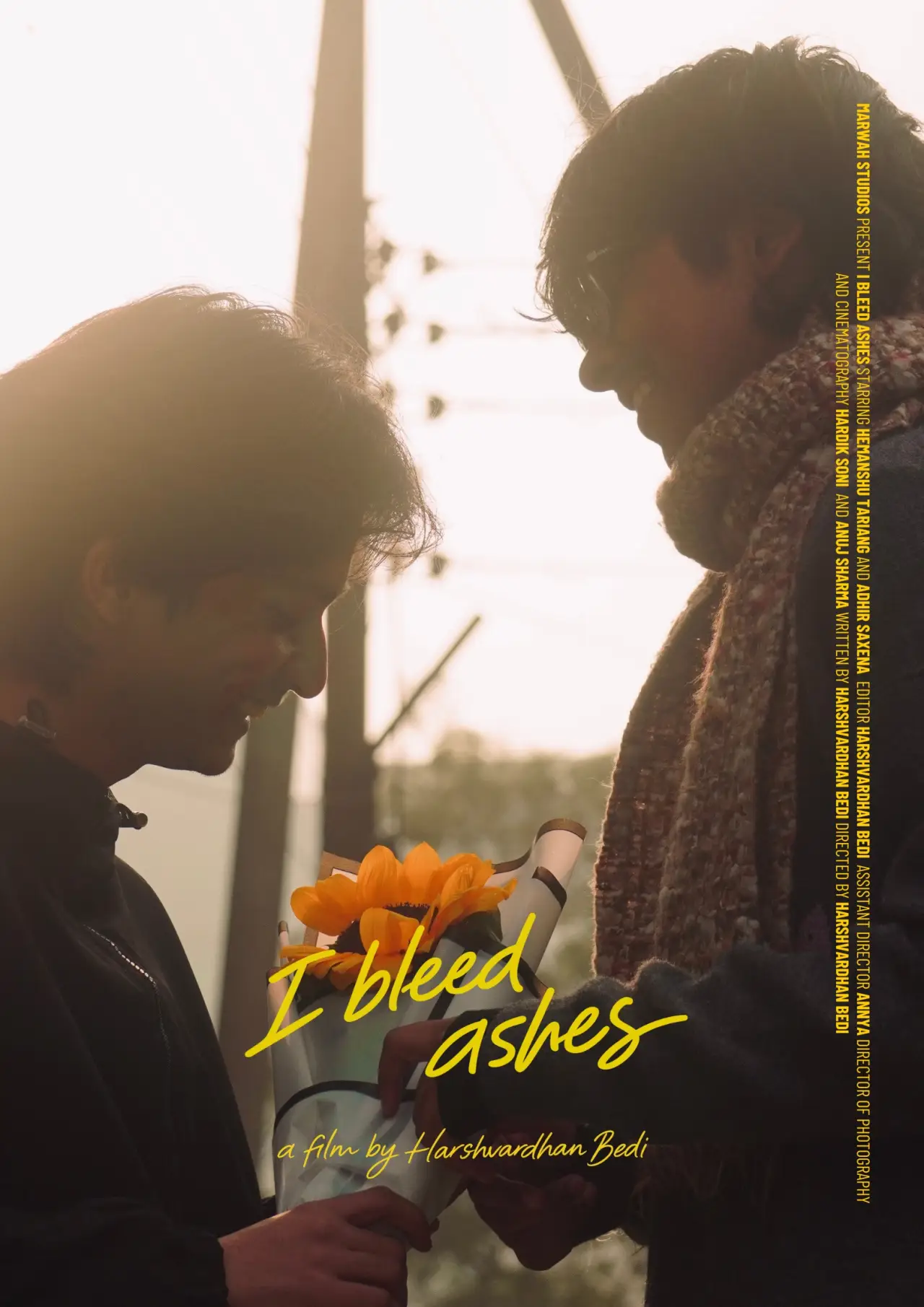Постер к фильму "I Bleed Ashes"