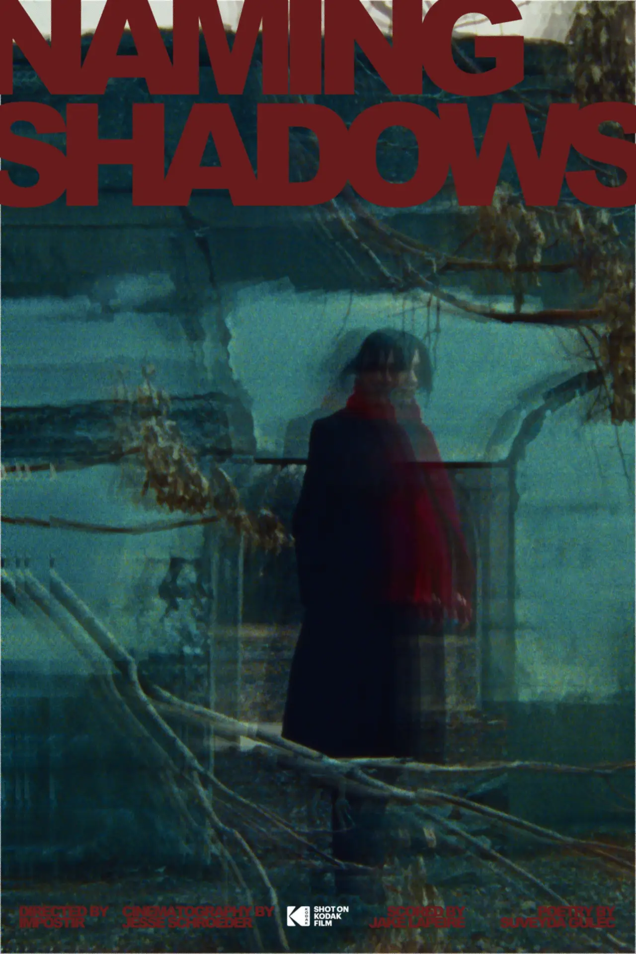 Постер к фильму "Naming Shadows"