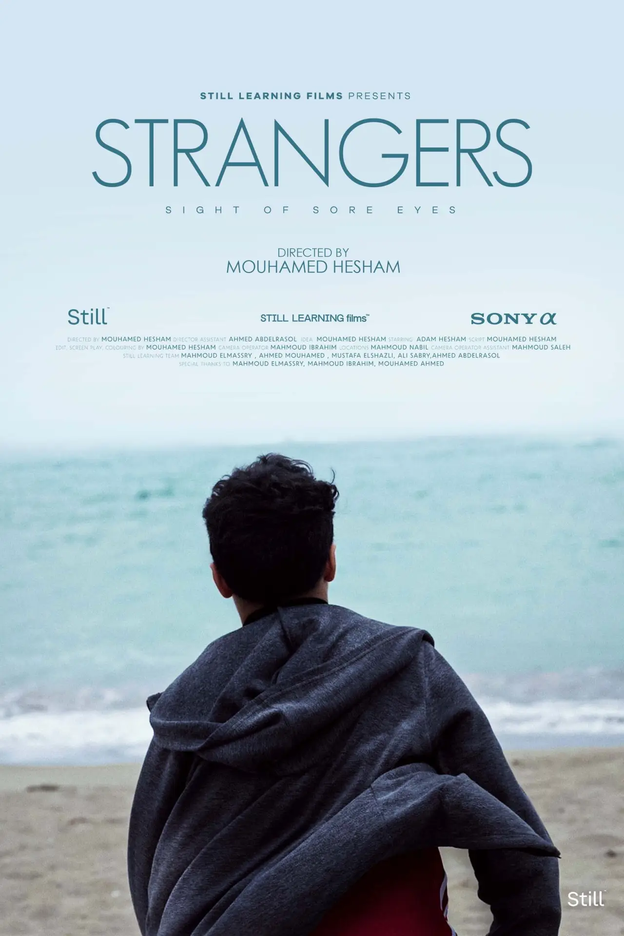 Постер к фильму "Strangers"
