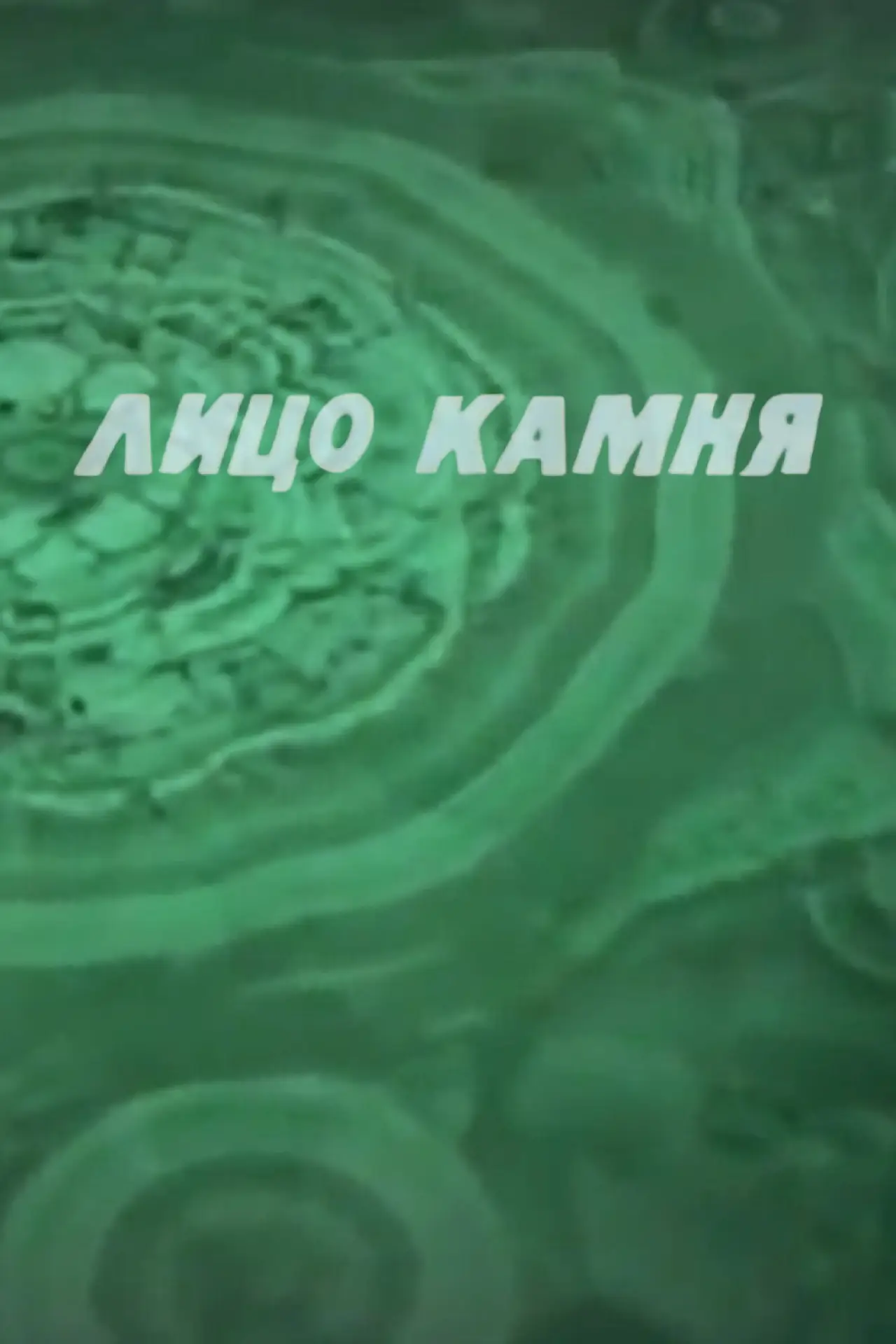 Постер к фильму "Лицо камня"