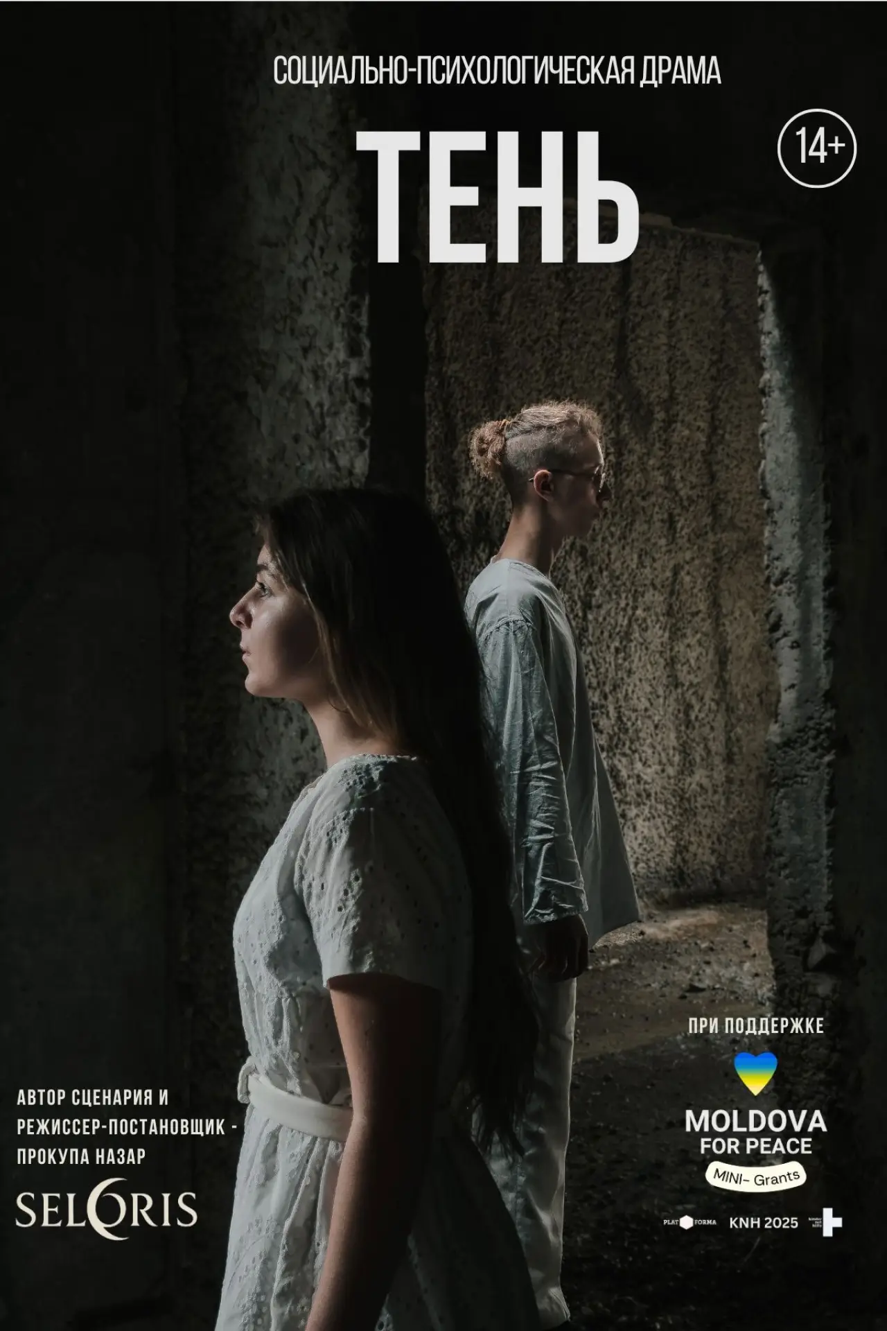 Постер к фильму "ТЕНЬ"