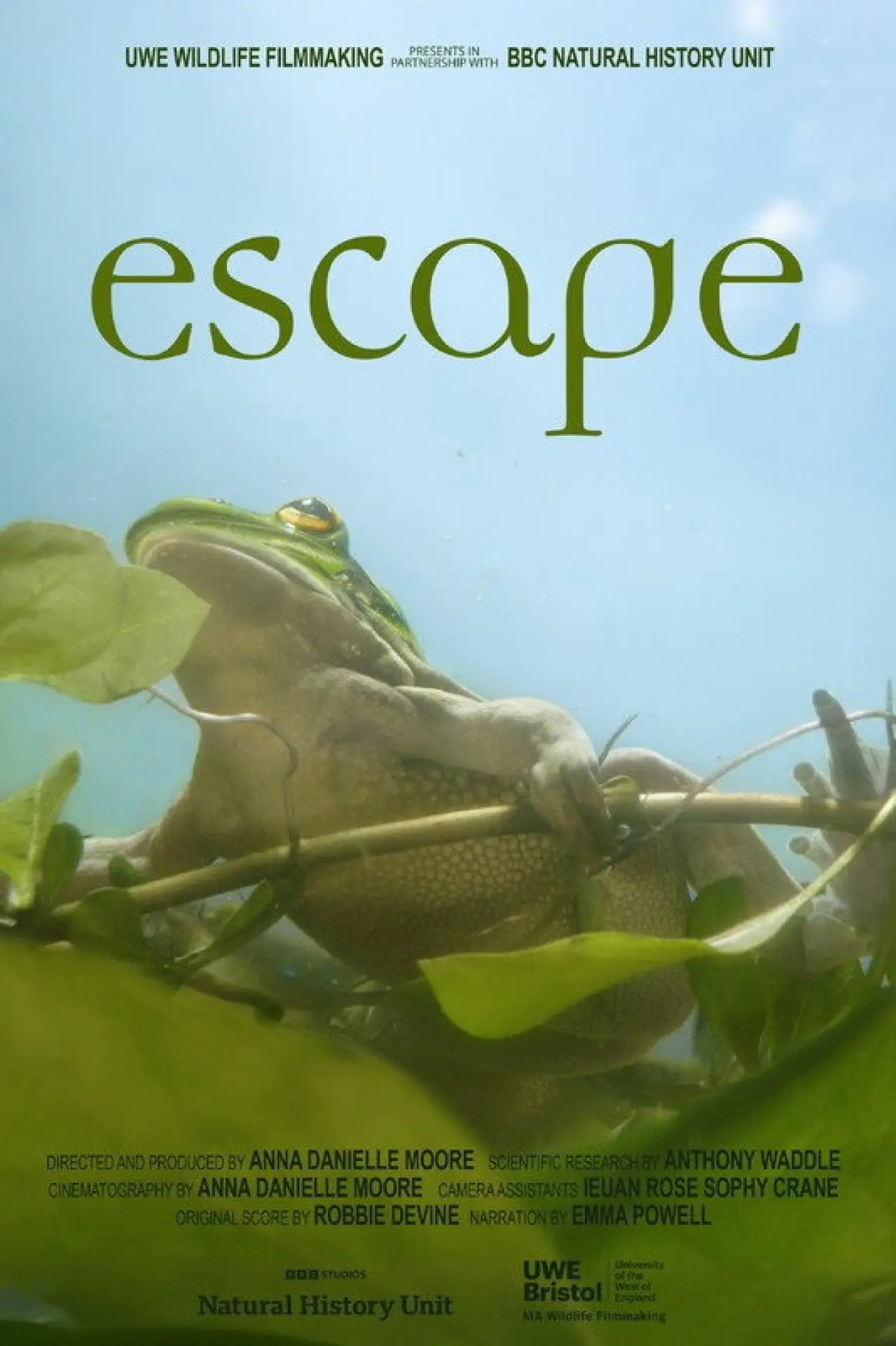Постер к фильму "Escape"