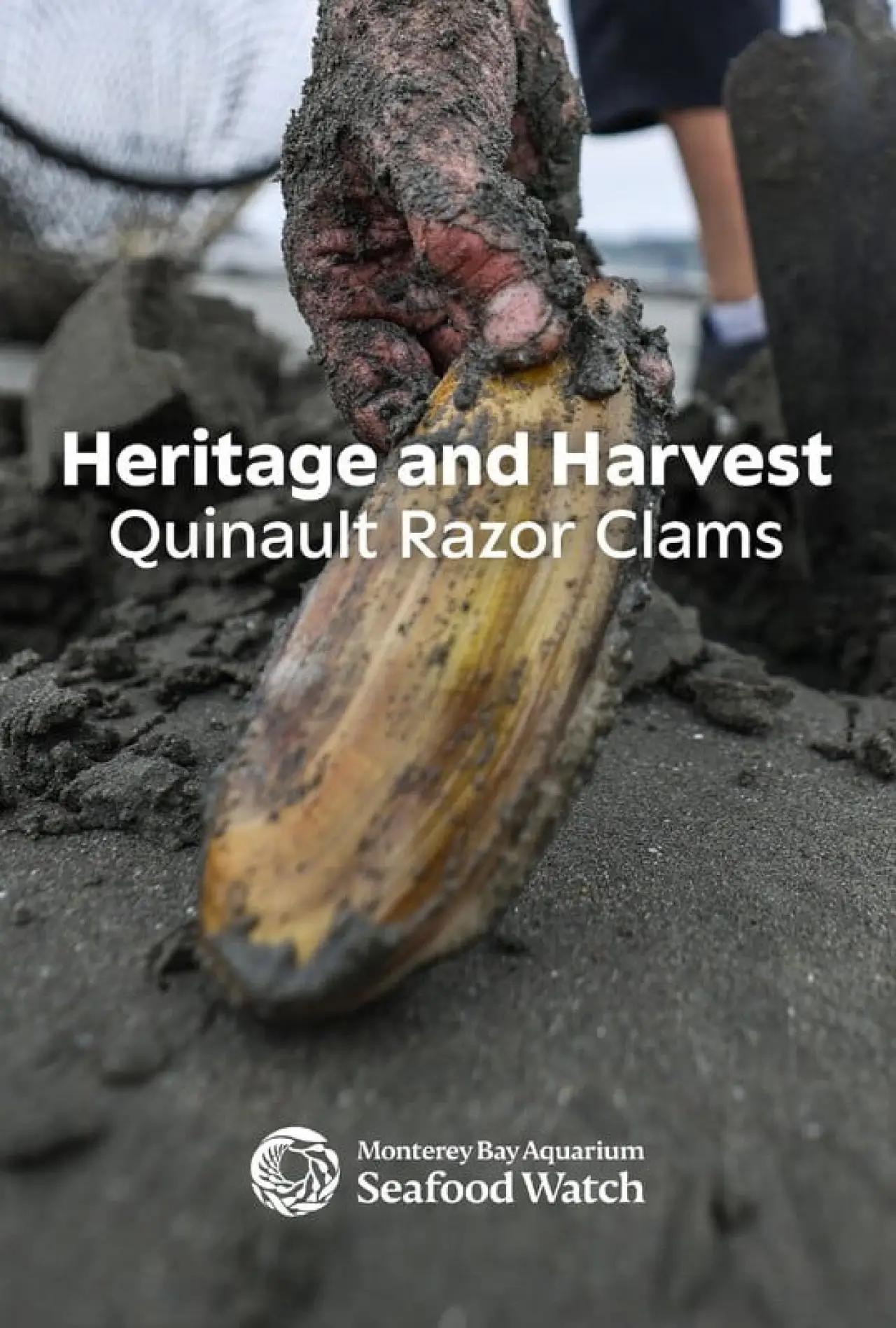 Постер к фильму "Heritage and Harvest: Quinault Razor Clams"