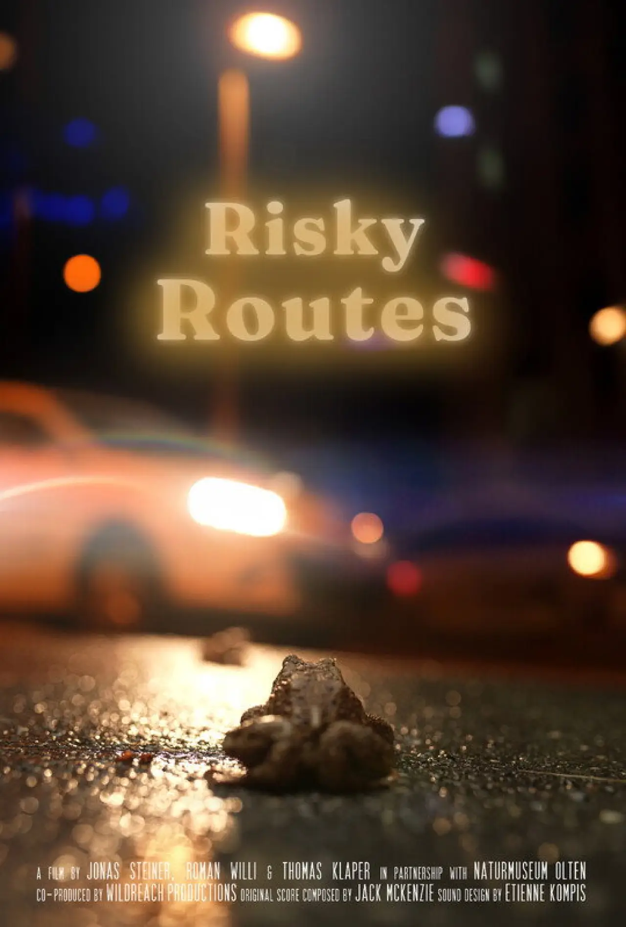 Постер к фильму "Risky Routes"