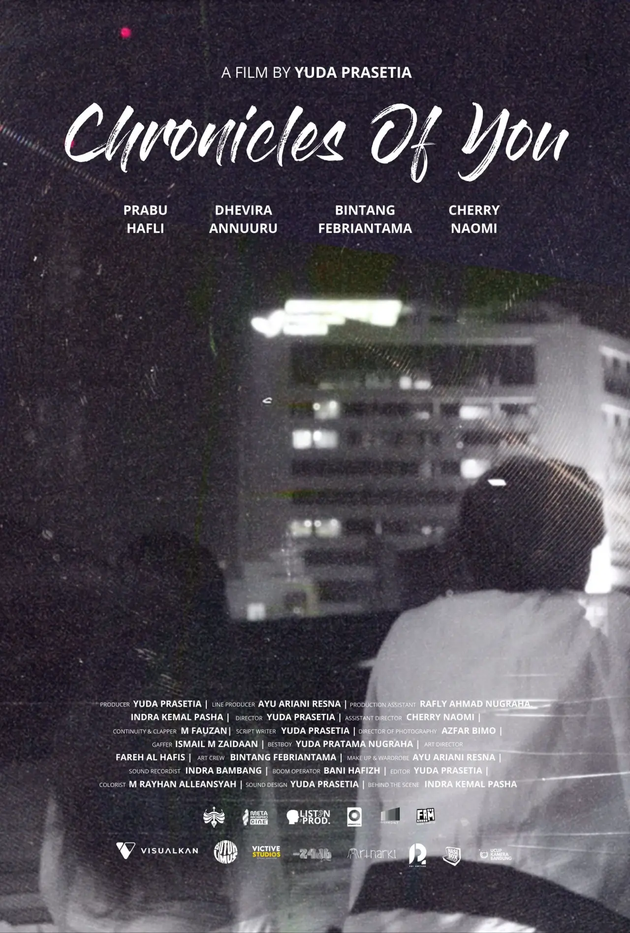 Постер к фильму "Chronicles of You"