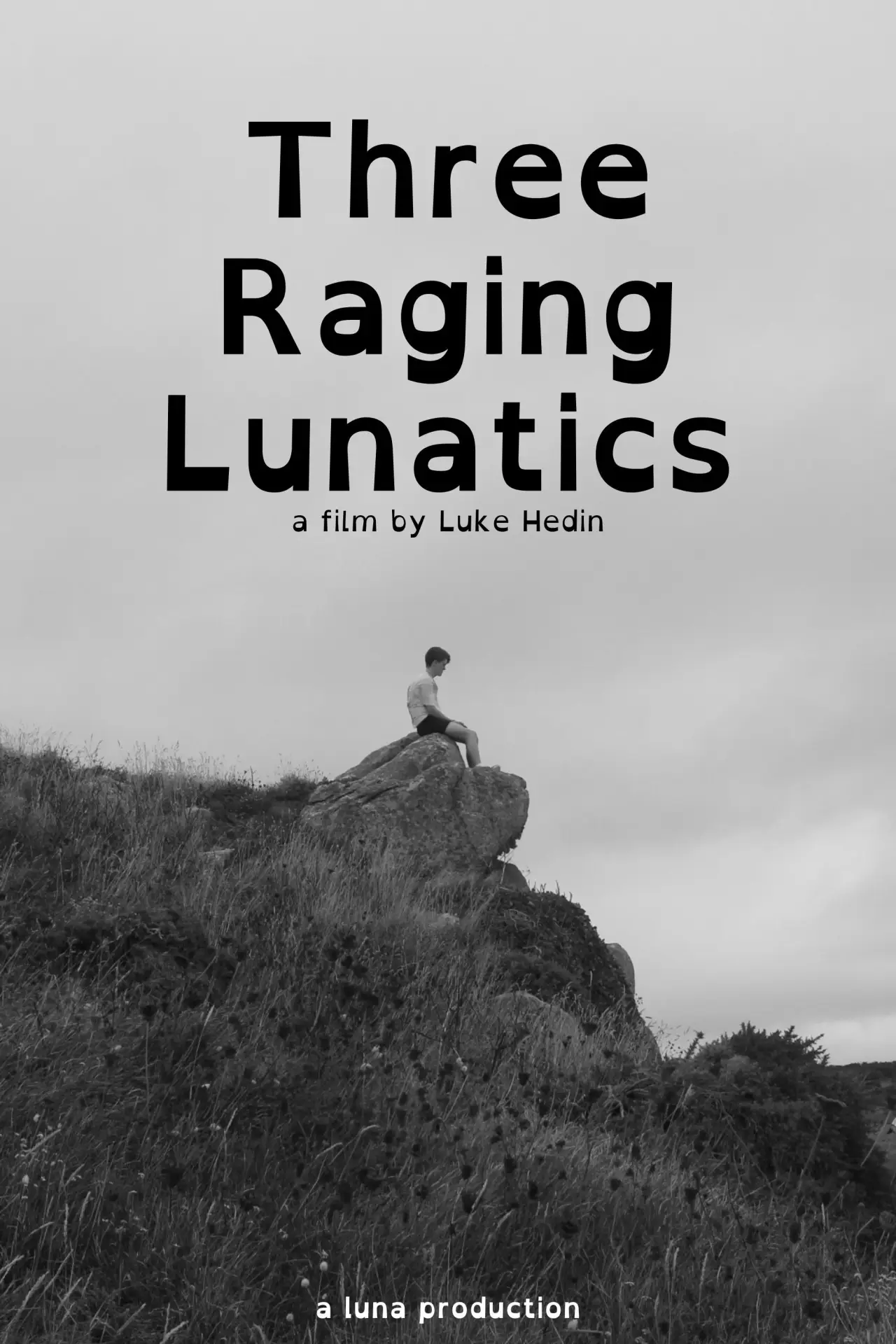 Постер к фильму "Three Raging Lunatics"