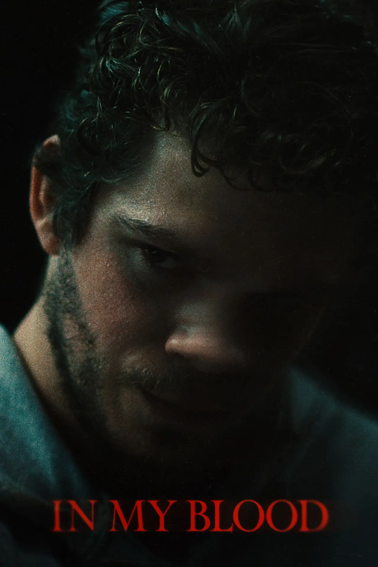 Постер к фильму "In My Blood"