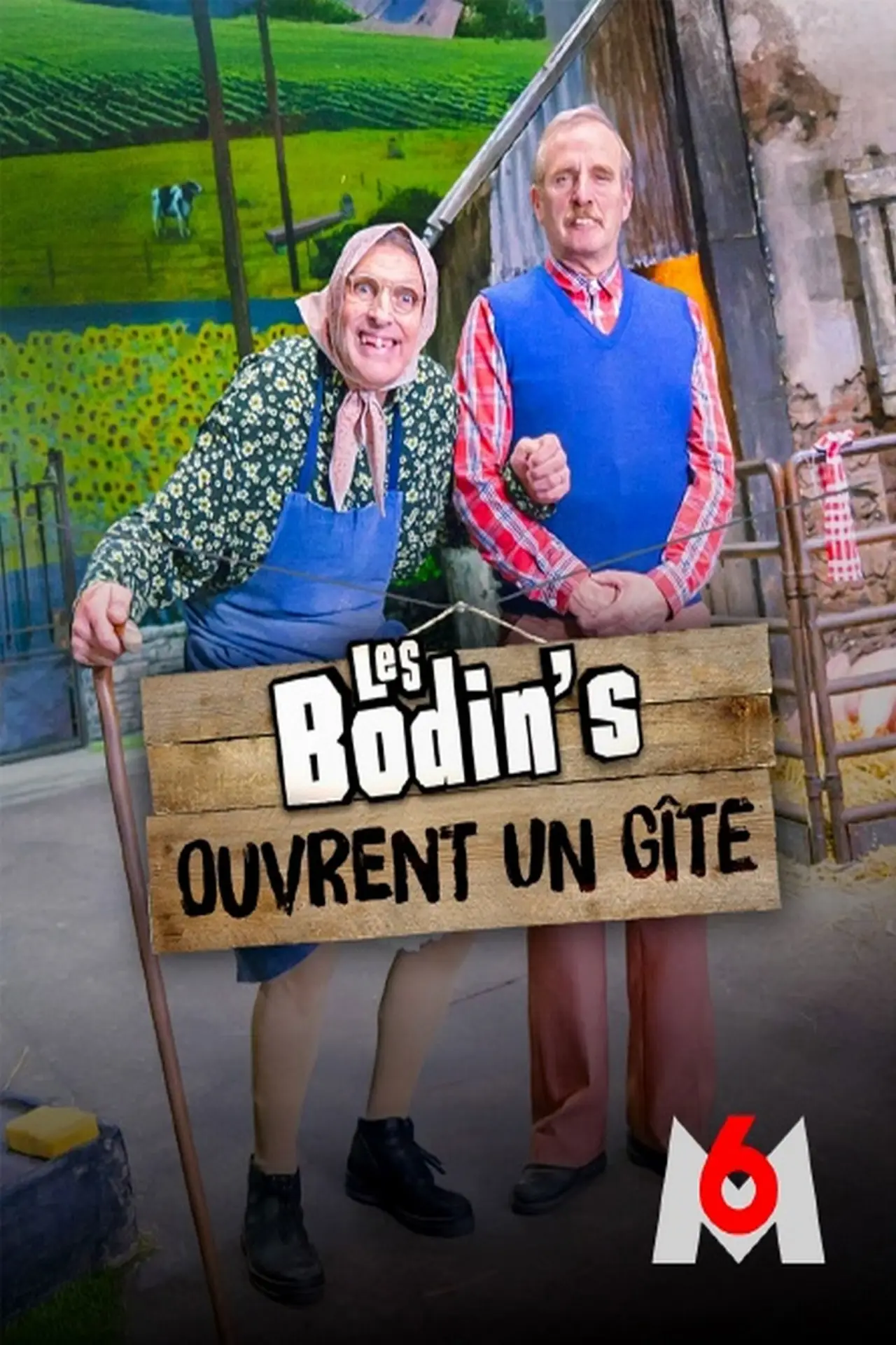 Постер к фильму "Les Bodin