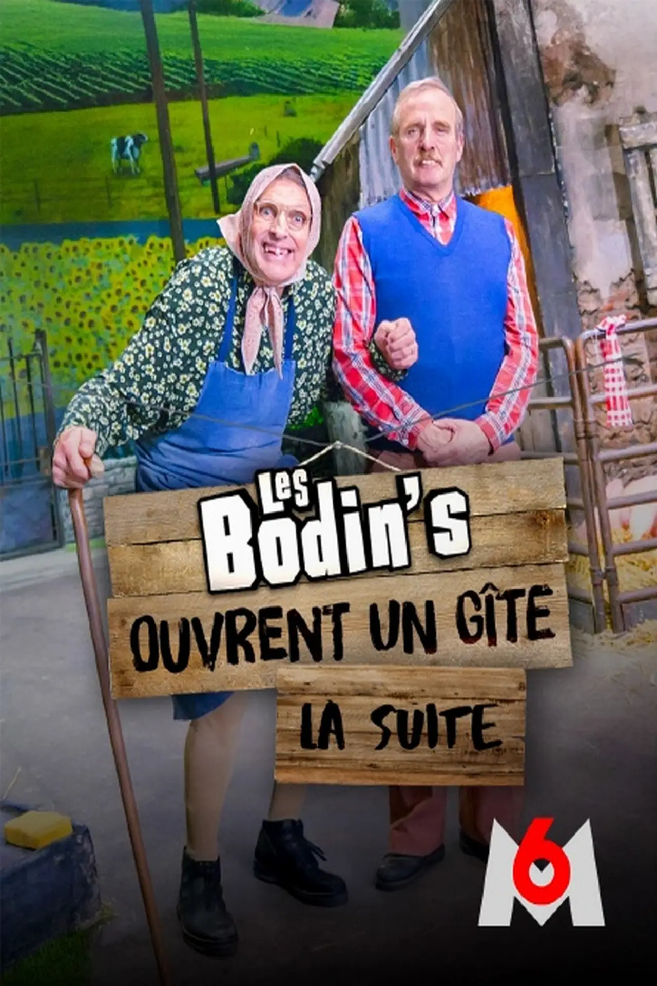 Постер к фильму "Les Bodin