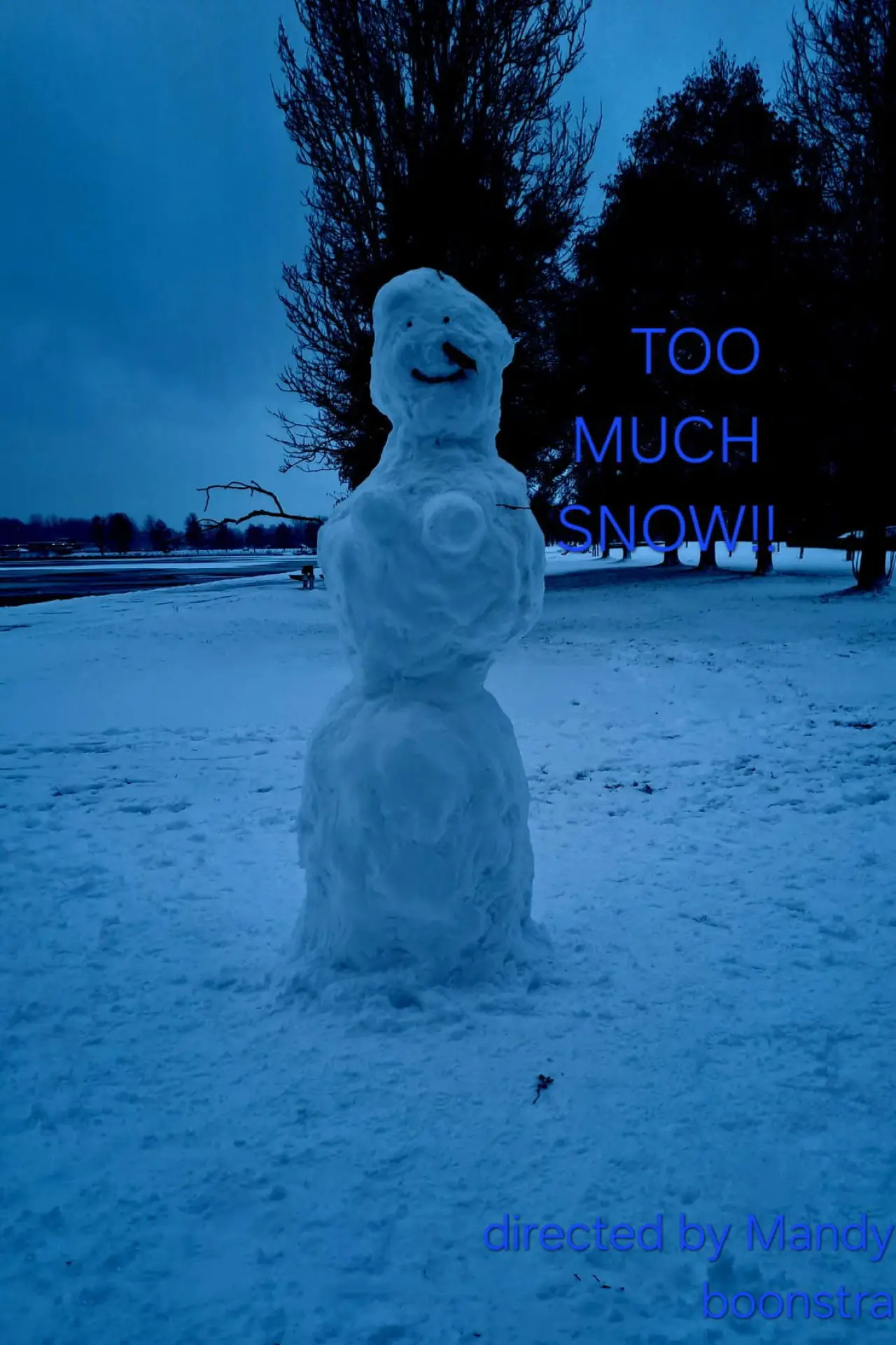 Постер к фильму "a lot of snow!"