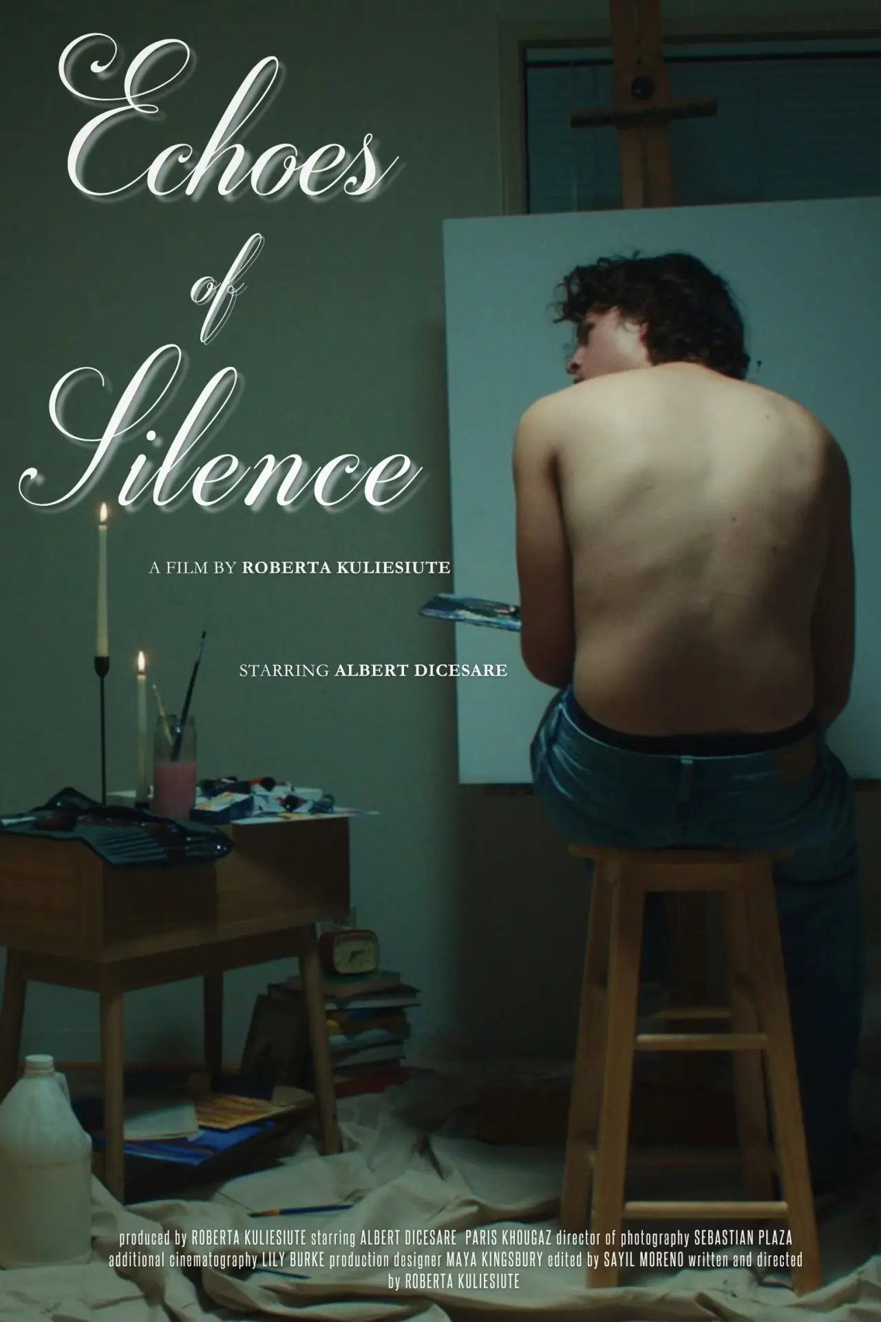 Постер к фильму "Echoes of Silence"