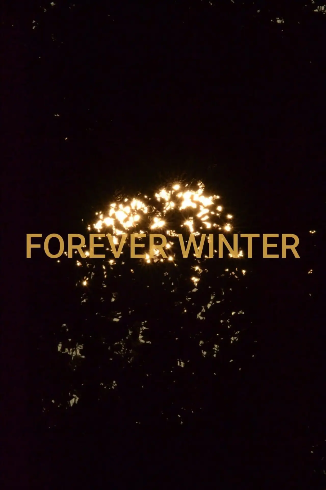 Постер к фильму "Forever Winter"