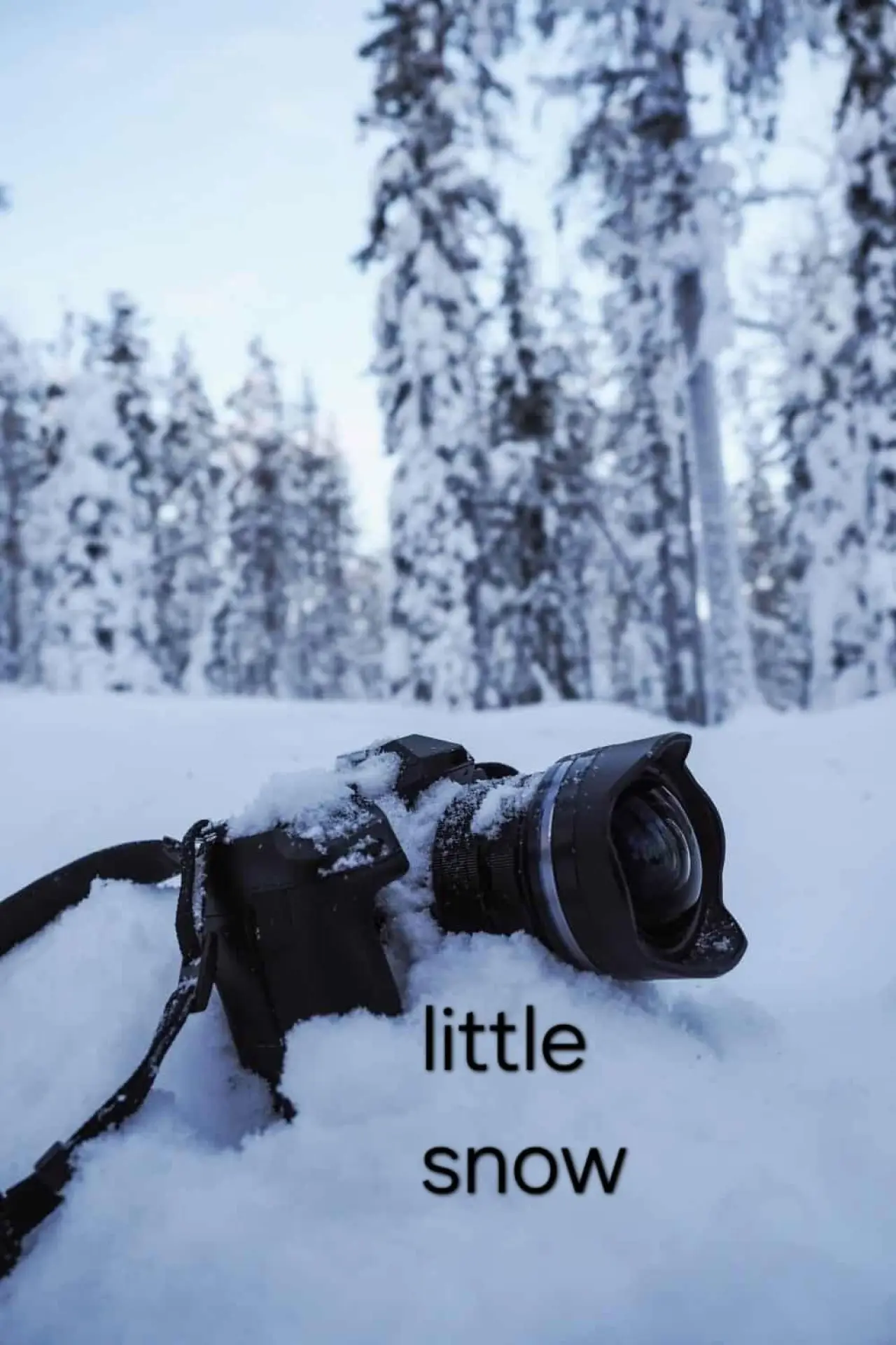 Постер к фильму "little snow"