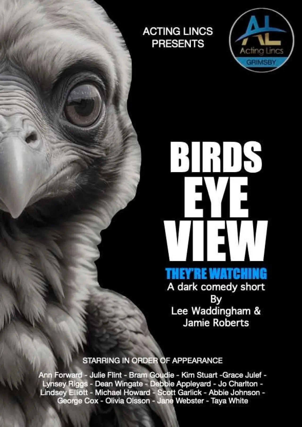 Постер к фильму "Birds Eye View"