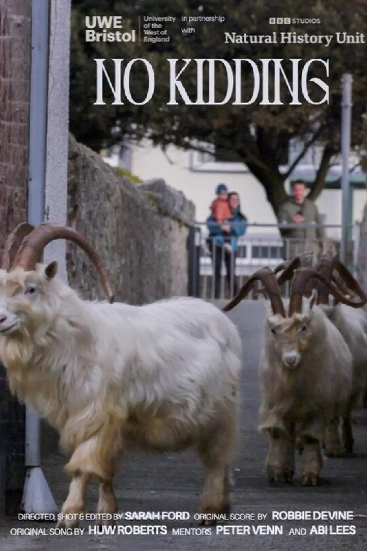 Постер к фильму "No Kidding"