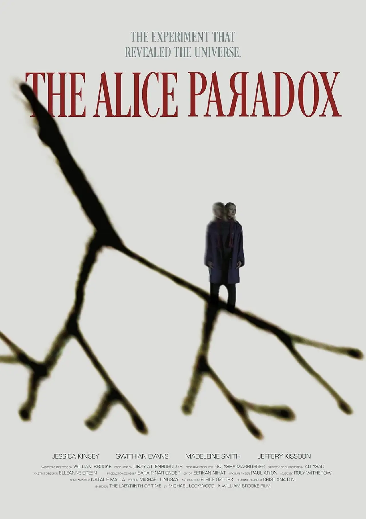 Постер к фильму "The Alice Paradox"