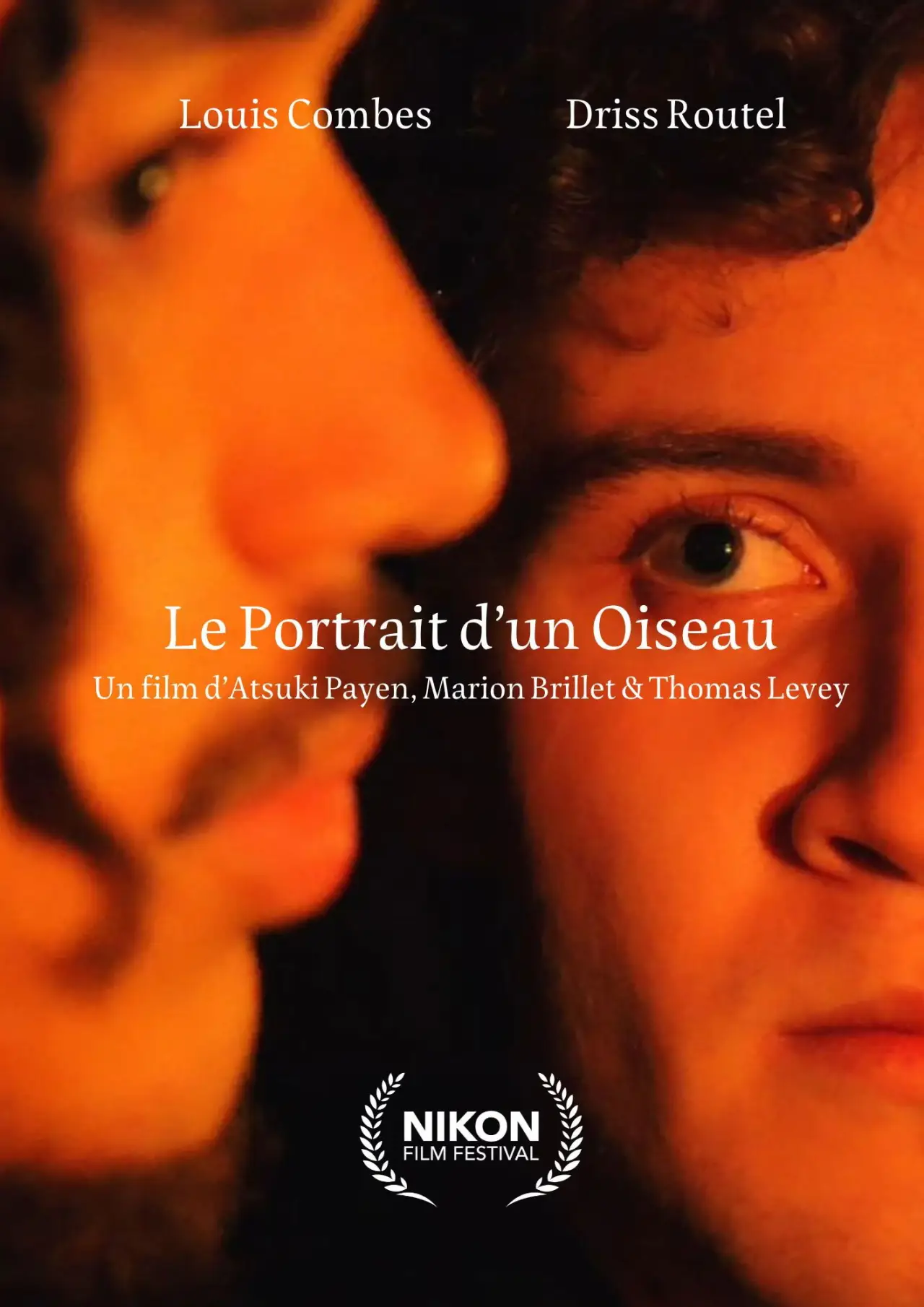 Постер к фильму "Le Portrait d