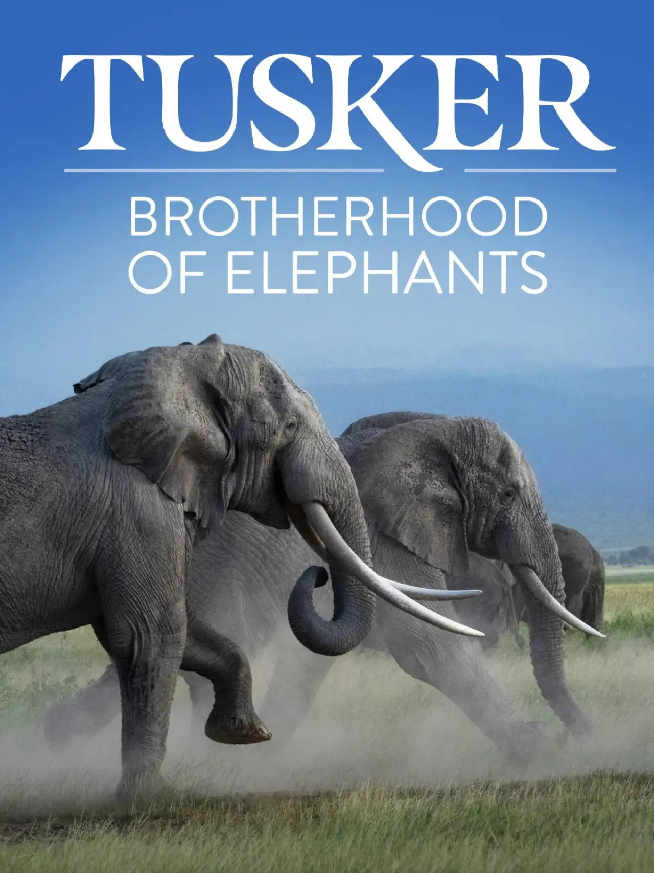 Постер к фильму "Tusker: Brotherhood of Elephants"