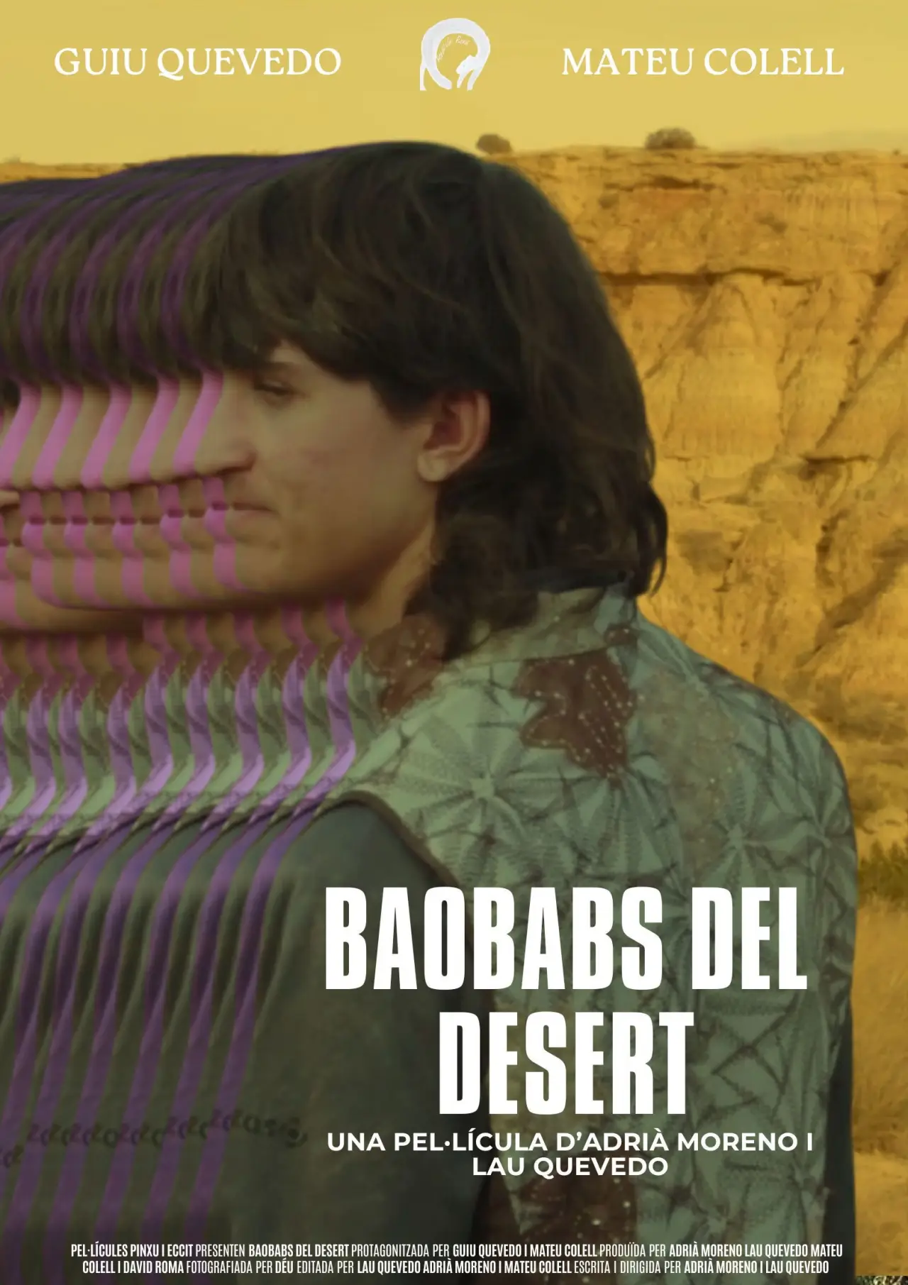 Постер к фильму "Baobabs del Desert"