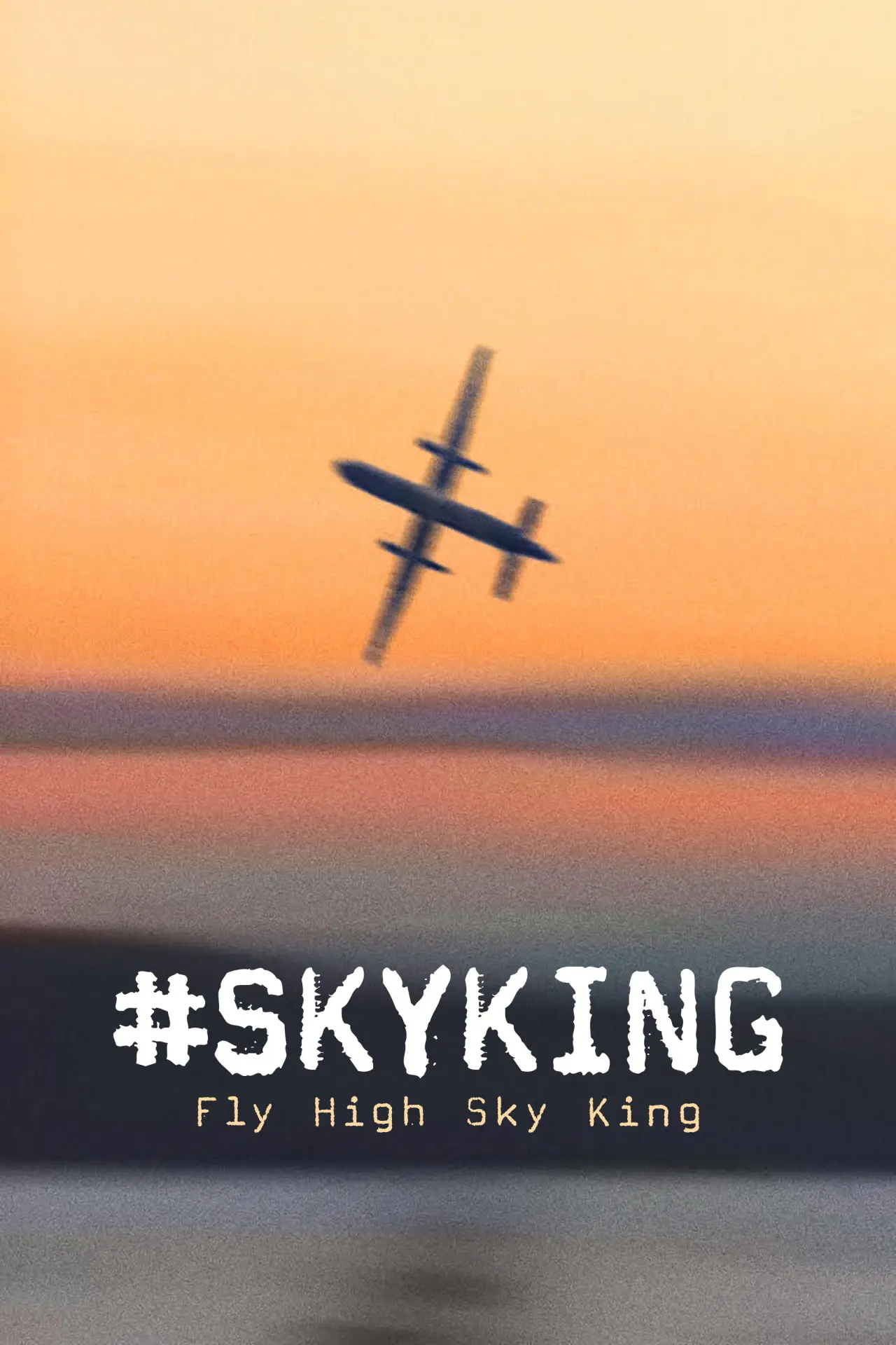Постер к фильму "#SKYKING"